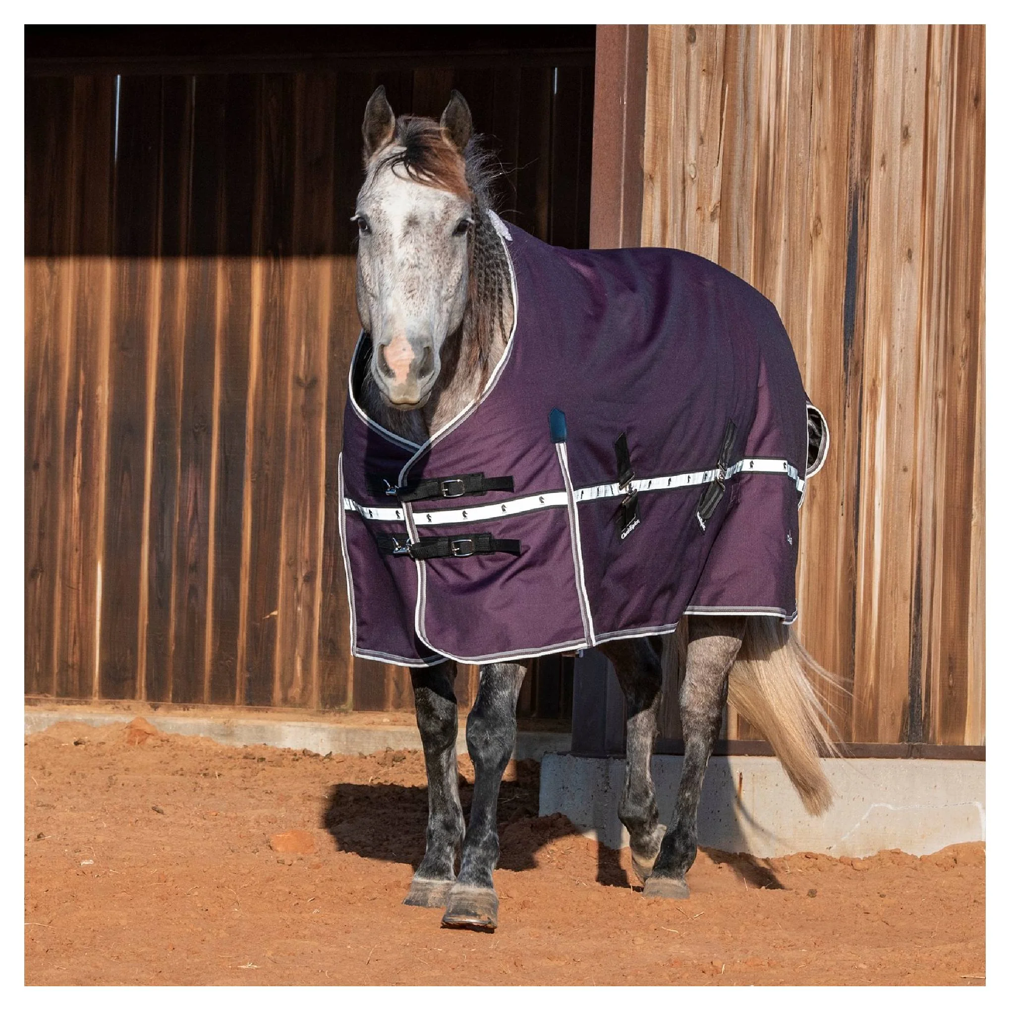 Classic Equine 10K Cross Trainer Winter Blanket - Image 7