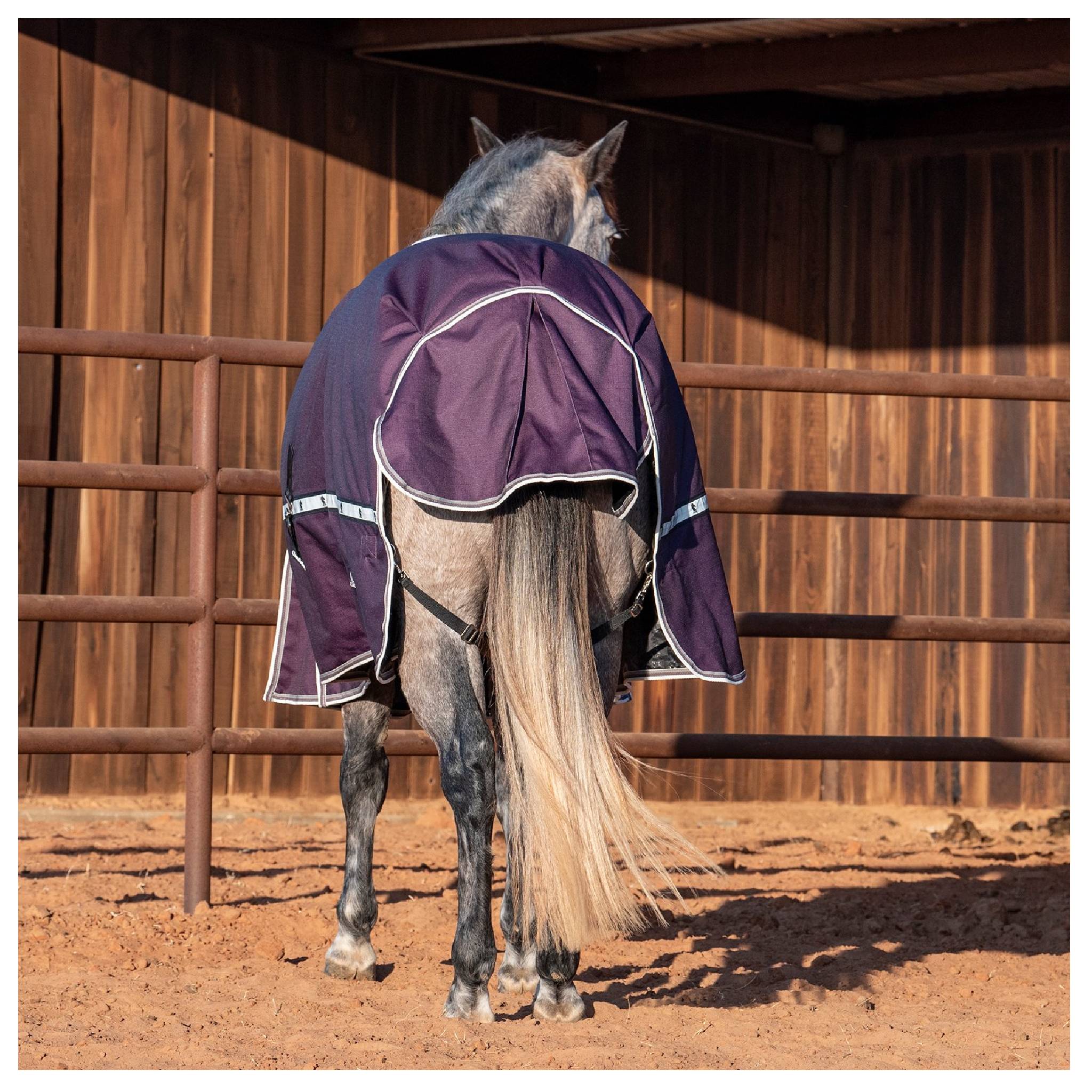 Classic Equine 10K Cross Trainer Winter Blanket - Image 8