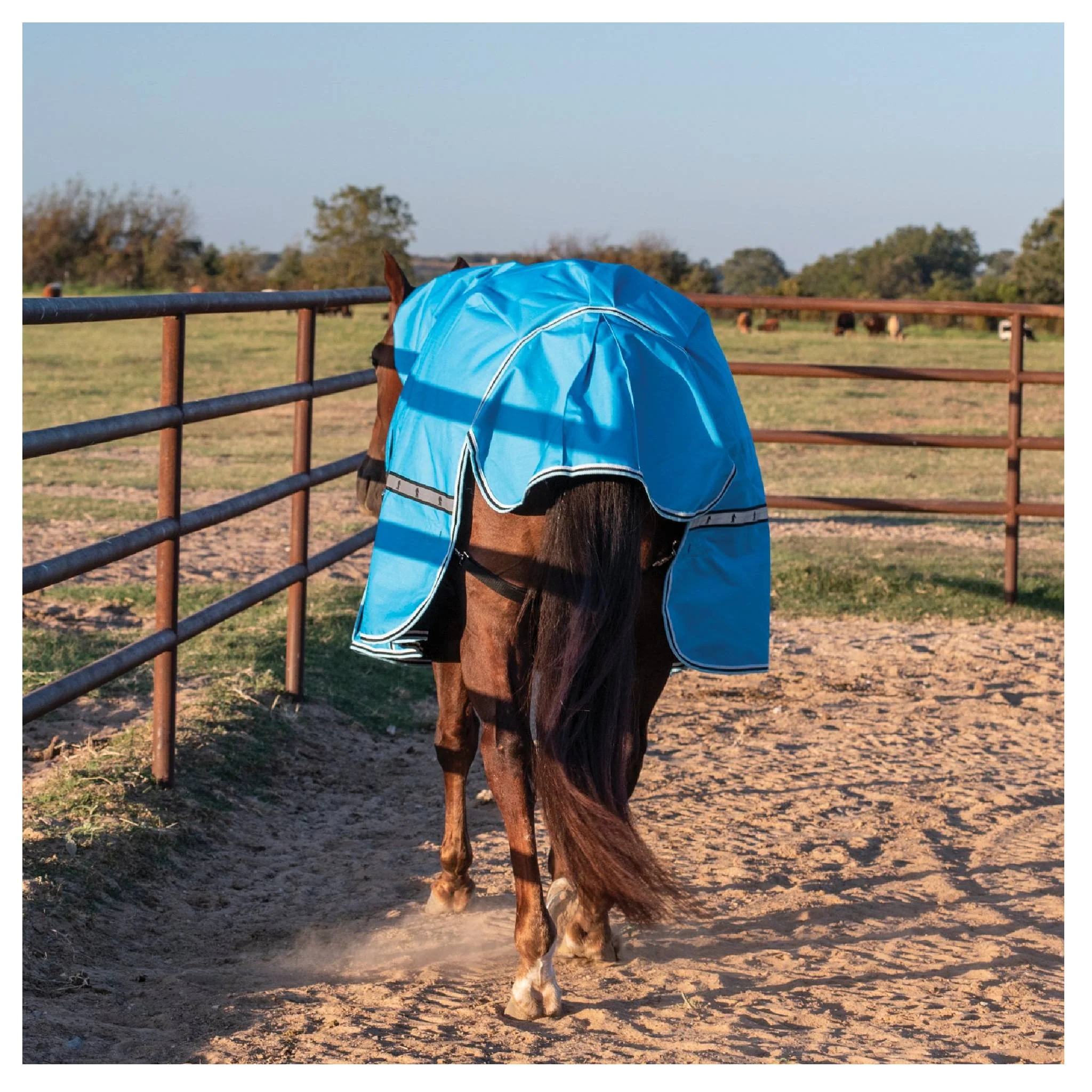 Classic Equine 10K Cross Trainer Hooded Winter Blanket - Image 7