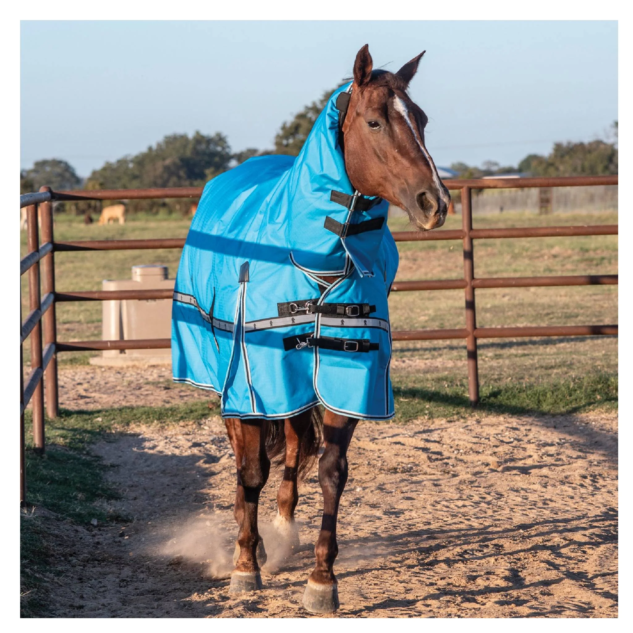 Classic Equine 10K Cross Trainer Hooded Winter Blanket - Image 8