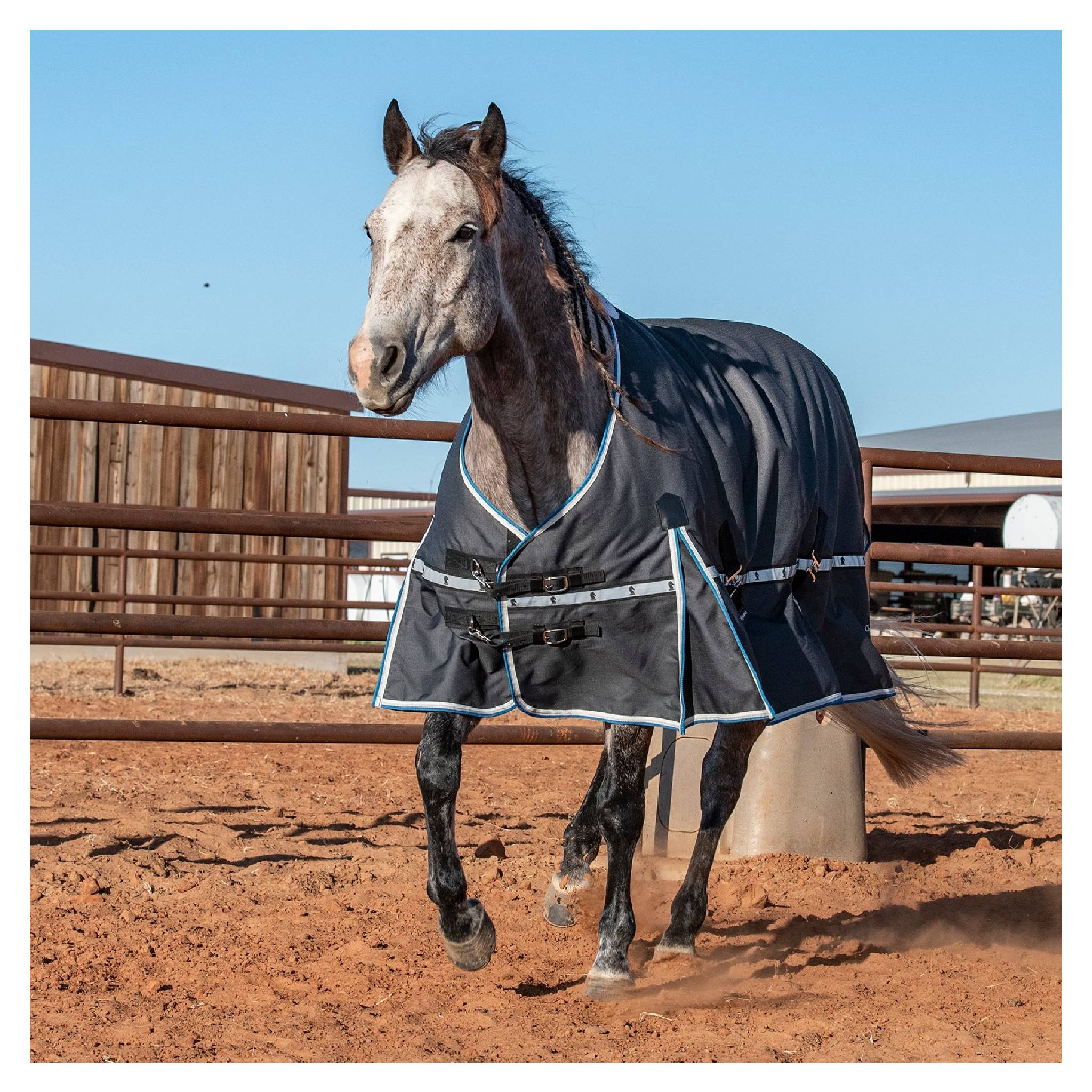 Classic Equine 5K Cross Trainer Winter Blanket - Image 8