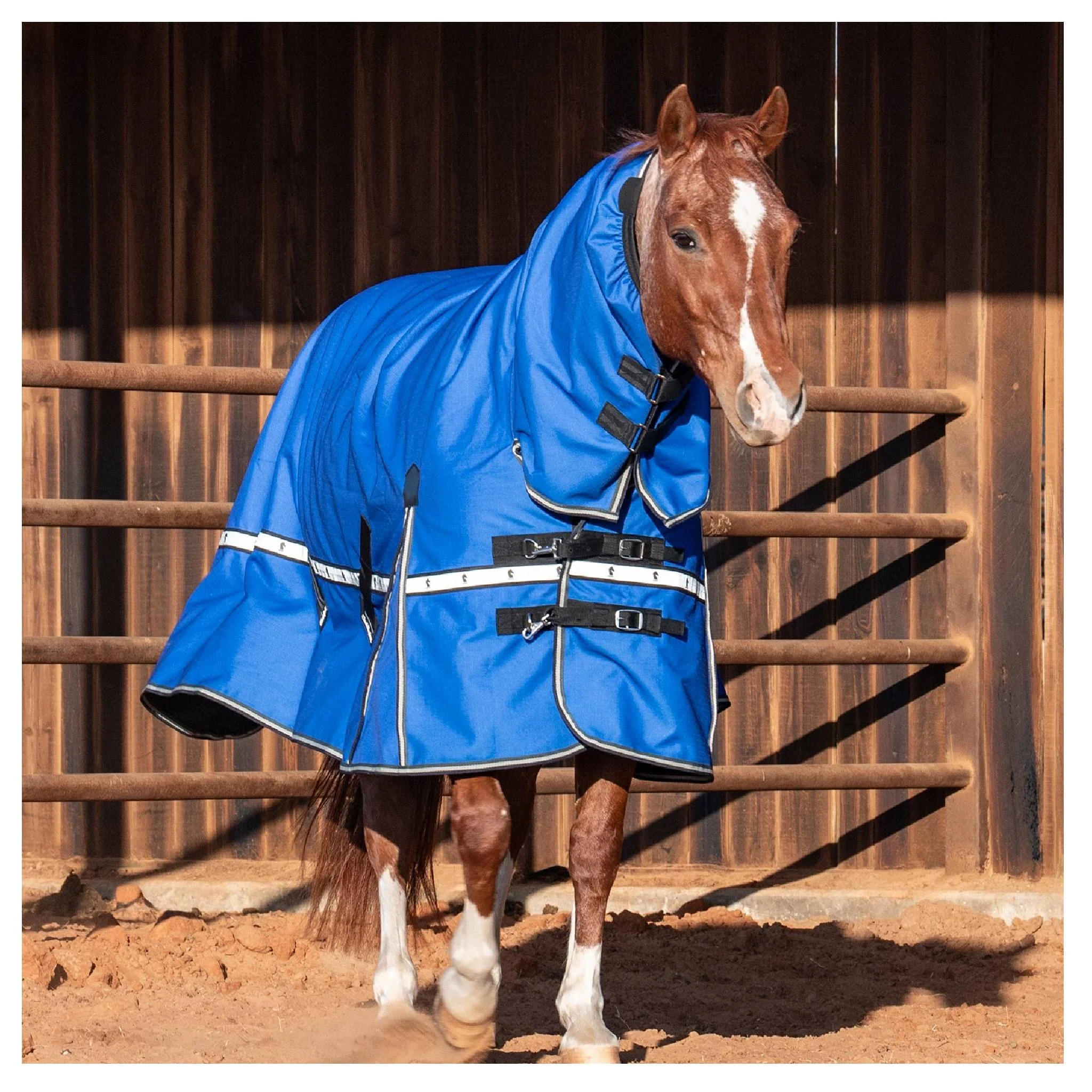 Classic Equine 5K Cross Trainer Hooded Winter Blanket - Image 7