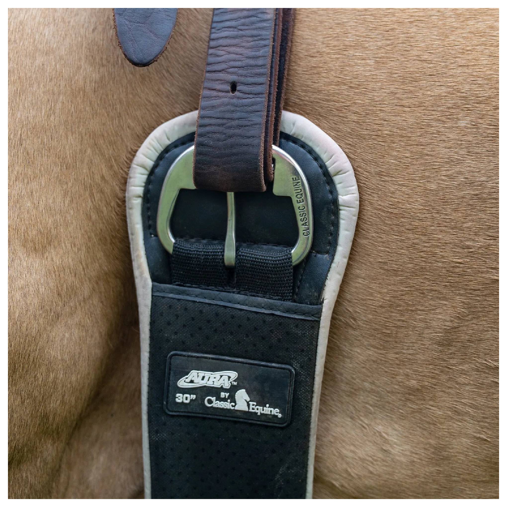 Classic Equine Aura Cinch - Image 10