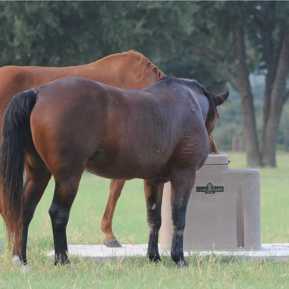 Classic Equine AutoFount Two Drink - Image 2