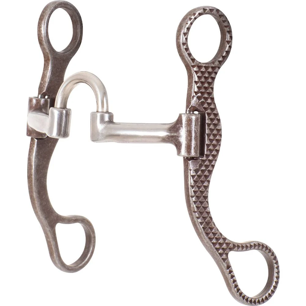Classic Equine BitLogic 6" Short Shank Rasp Design Correction Bit