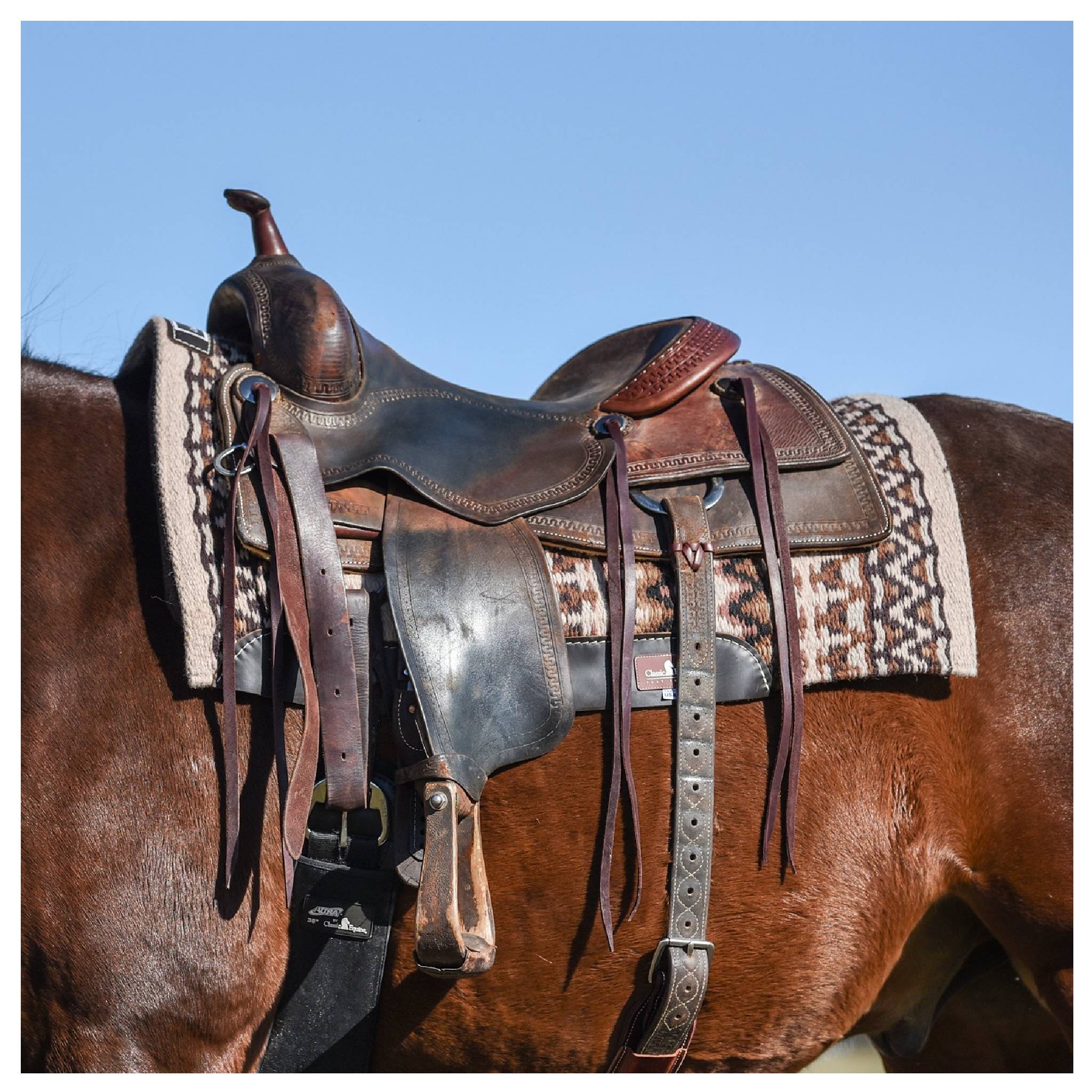 Classic Equine Contour Blanket Top Alpaca Pad - 34"x38" - Image 8