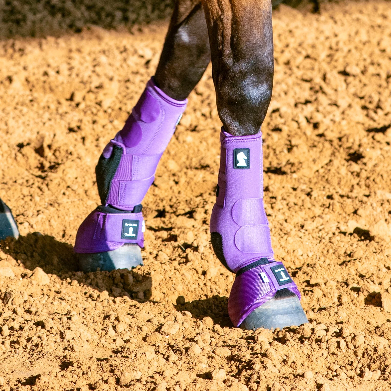 Classic Equine Legacy2 Boots - Image 12