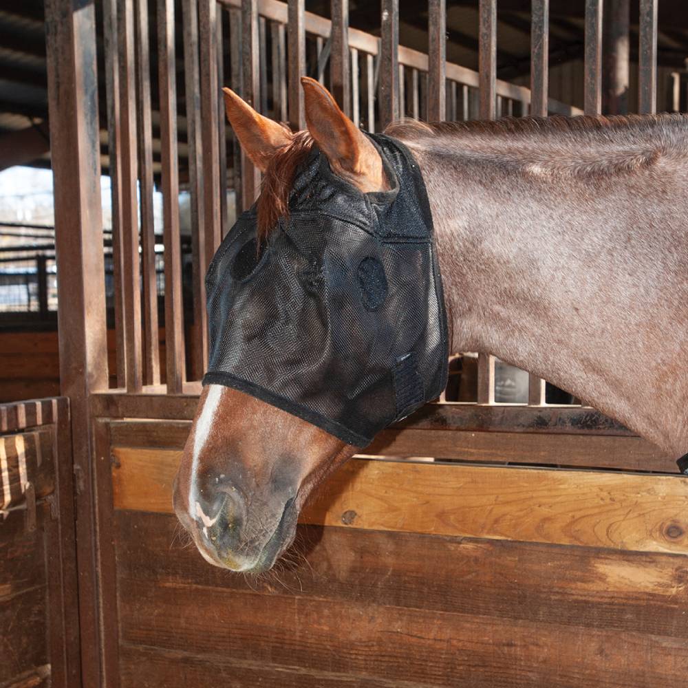 Classic Equine MagNTX Mask - Image 2