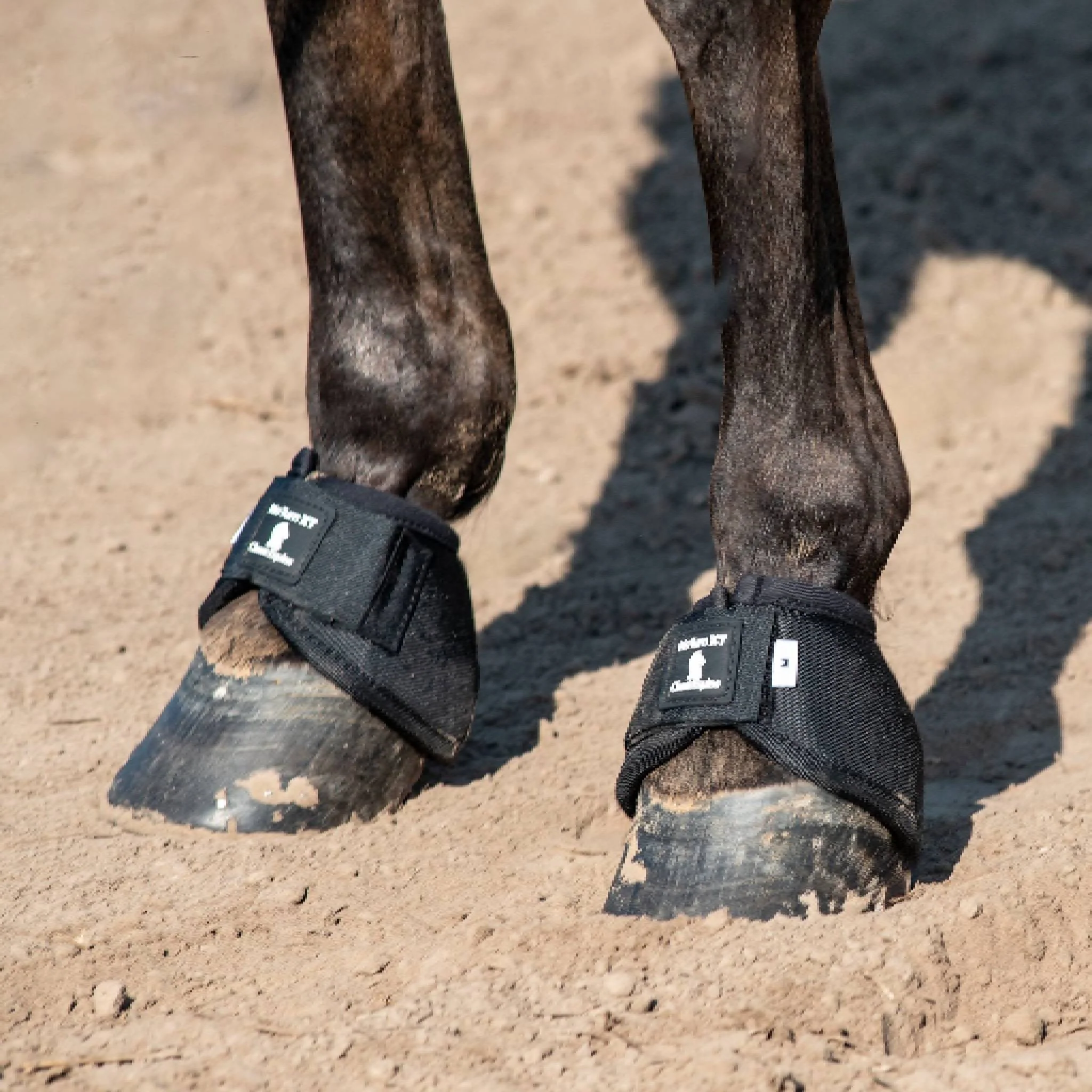 Classic Equine No Turn XT Bell - Image 5