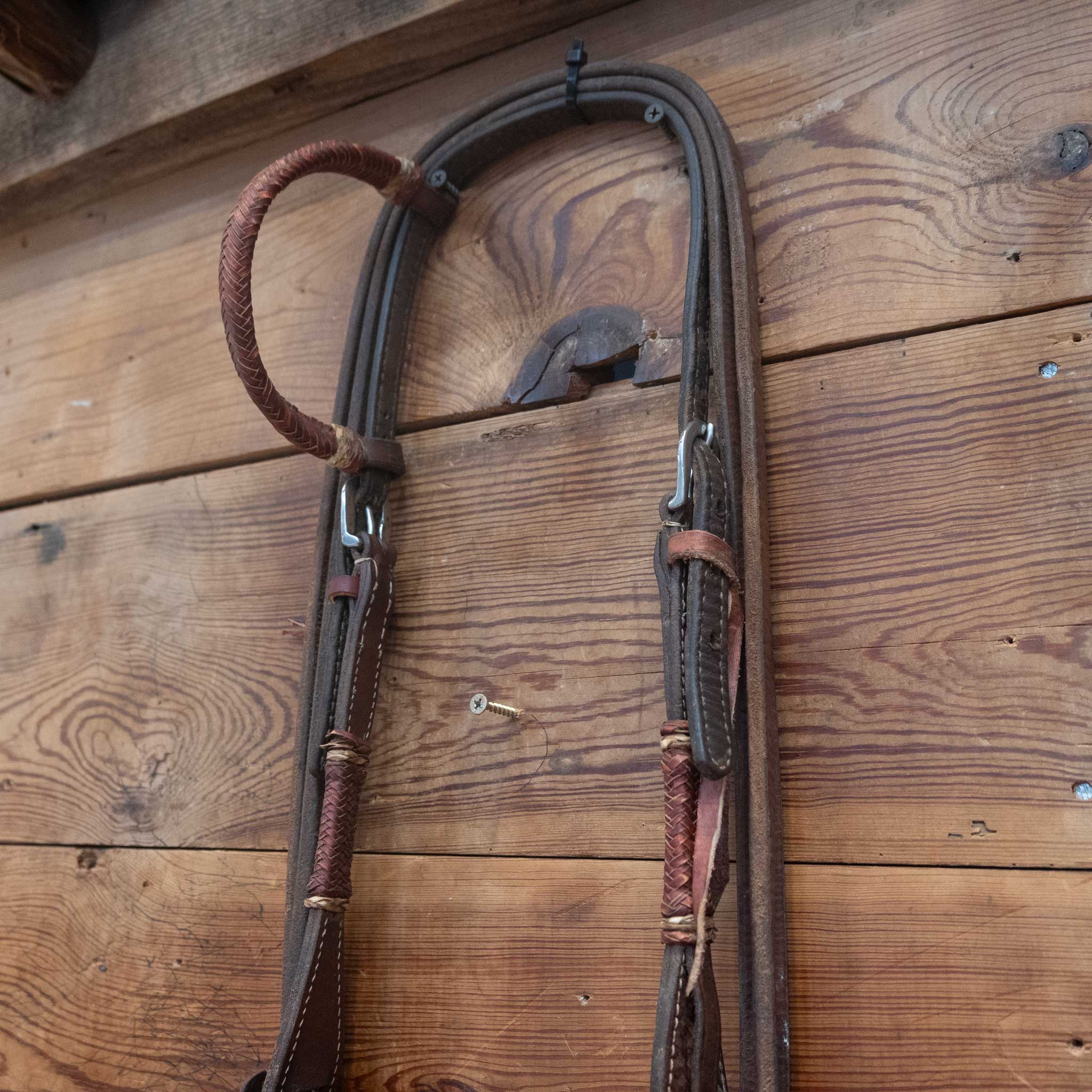 Classic Equine Plastic Mullen Bridle Rig - Image 3