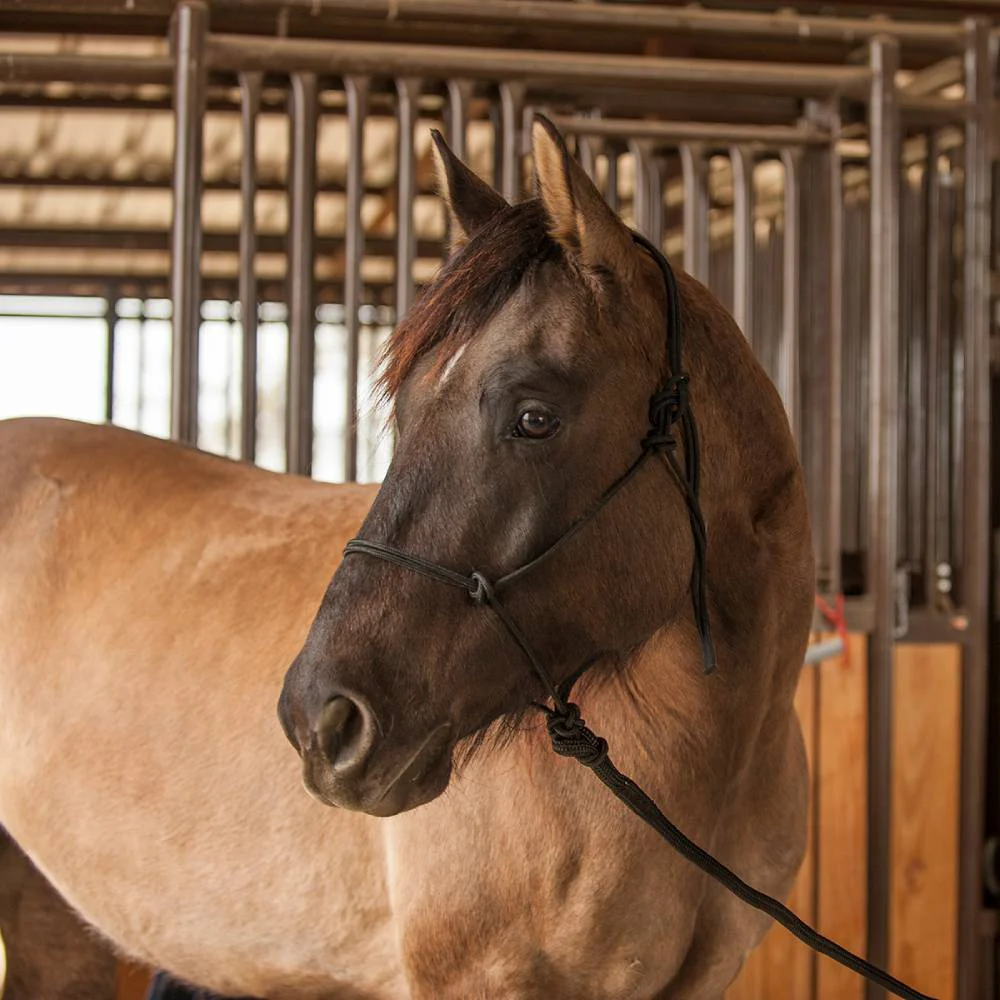 Classic Equine Premium Rope Halter - Image 6