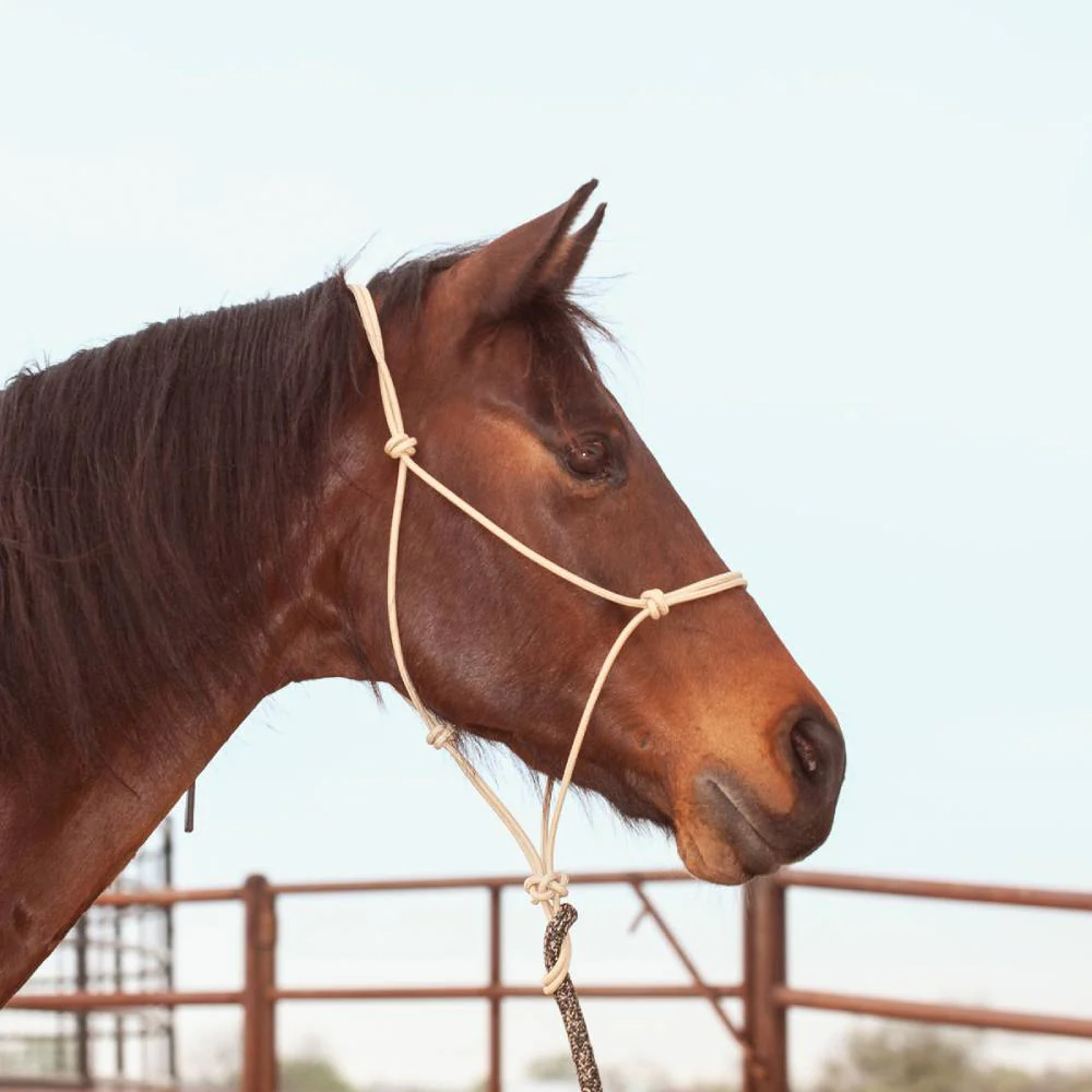 Classic Equine Premium Rope Halter - Image 7