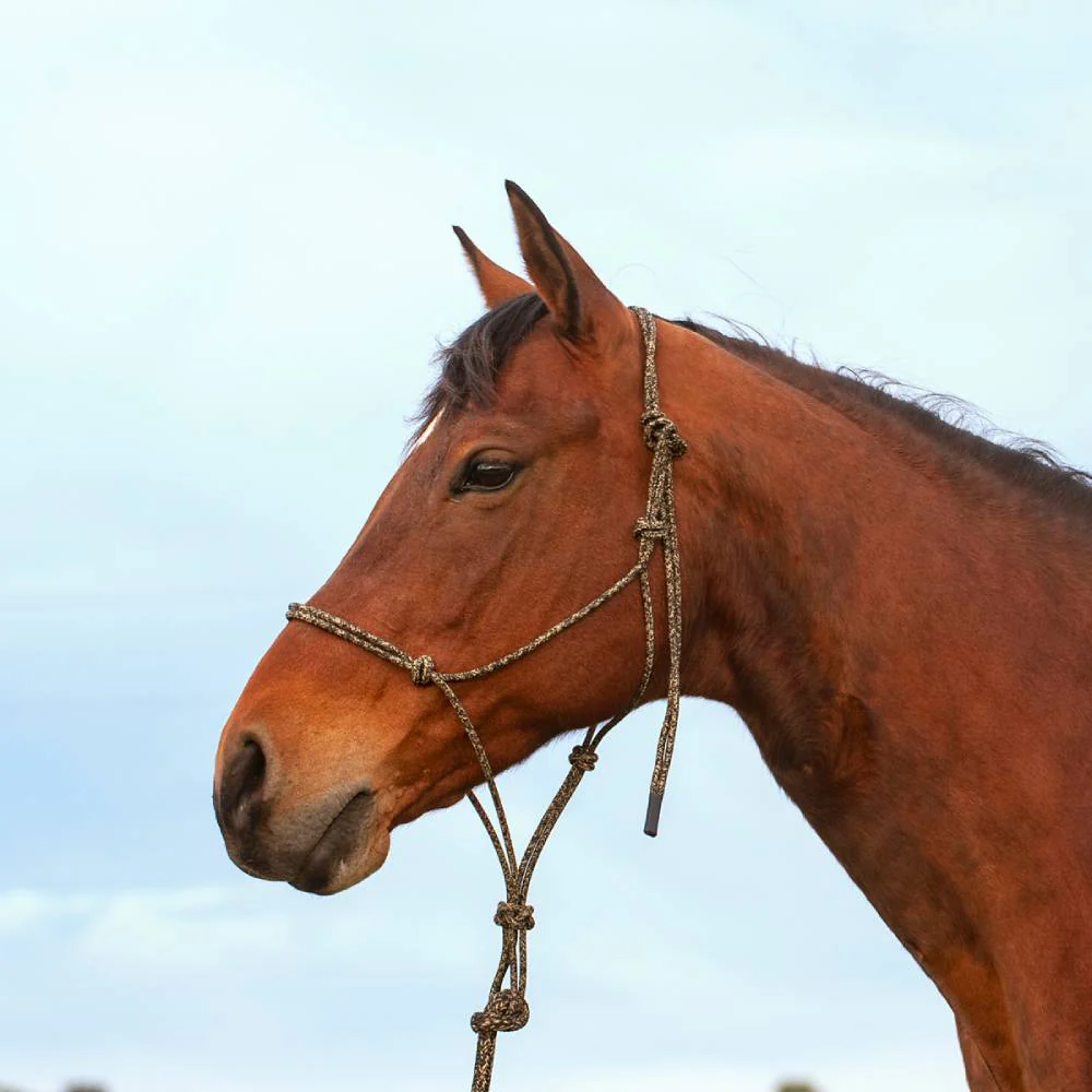 Classic Equine Premium Rope Halter - Image 8
