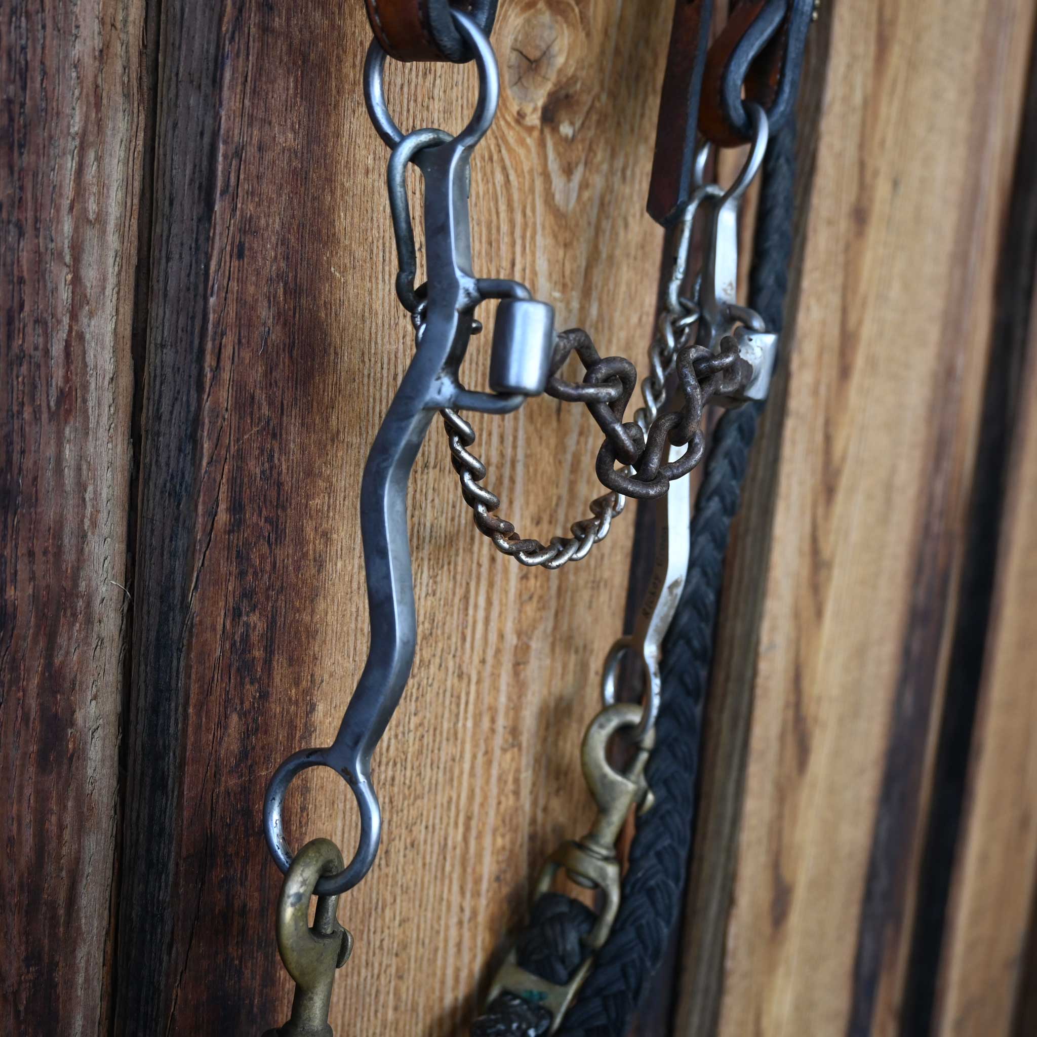 Classic Equine Ricky Green Chain Bridle Rig w/Browband Headstall