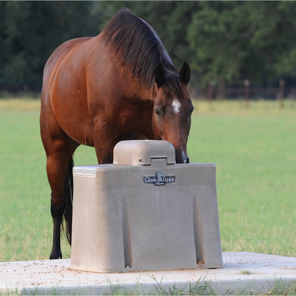 Classic Equine UltraFount Two Drink - Image 2