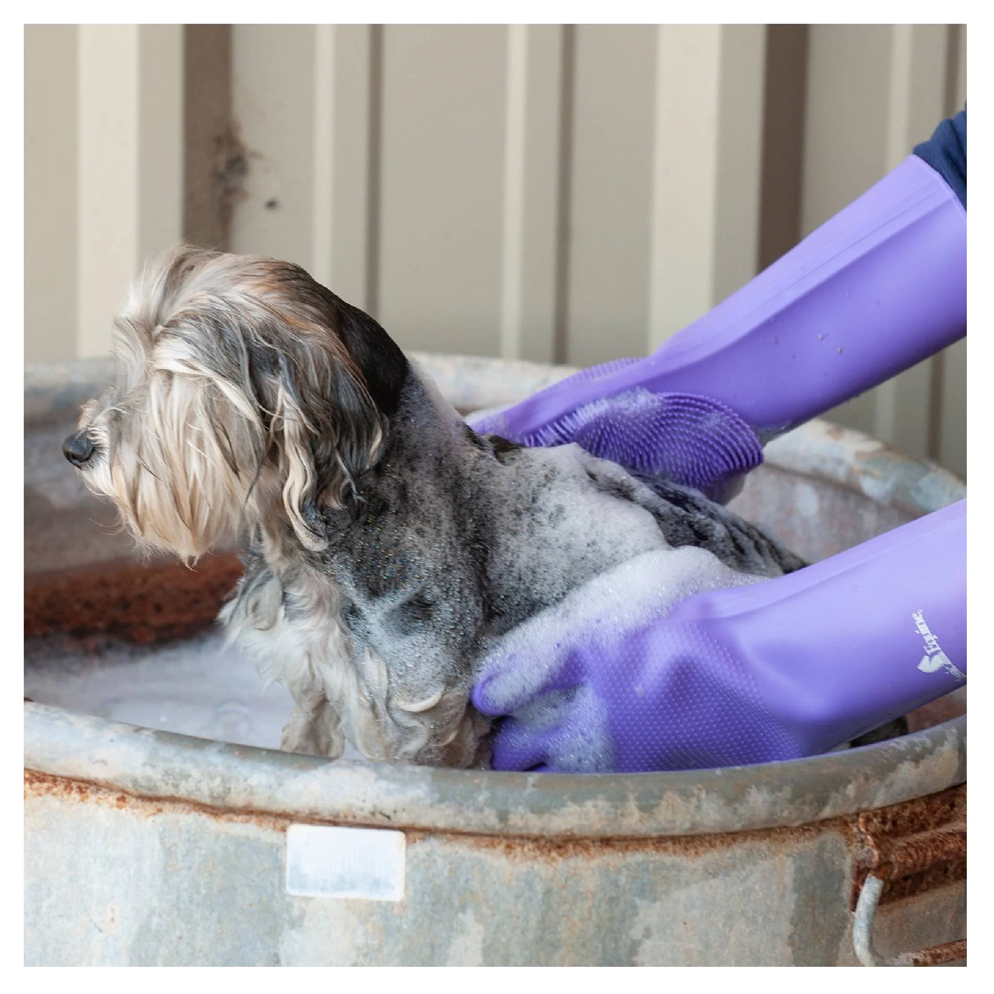 Classic Equine Wash Gloves - Image 9