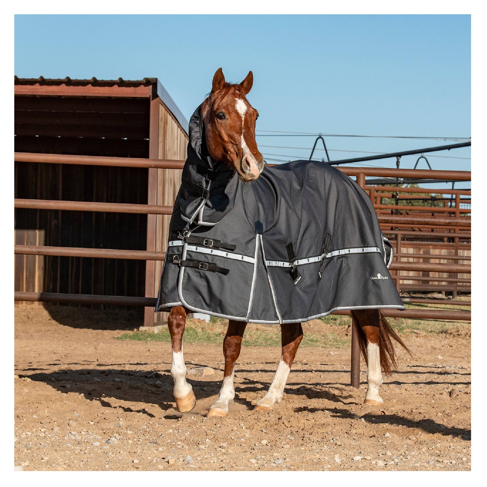 Classic Equine Windbreaker Turnout Sheet With Hood