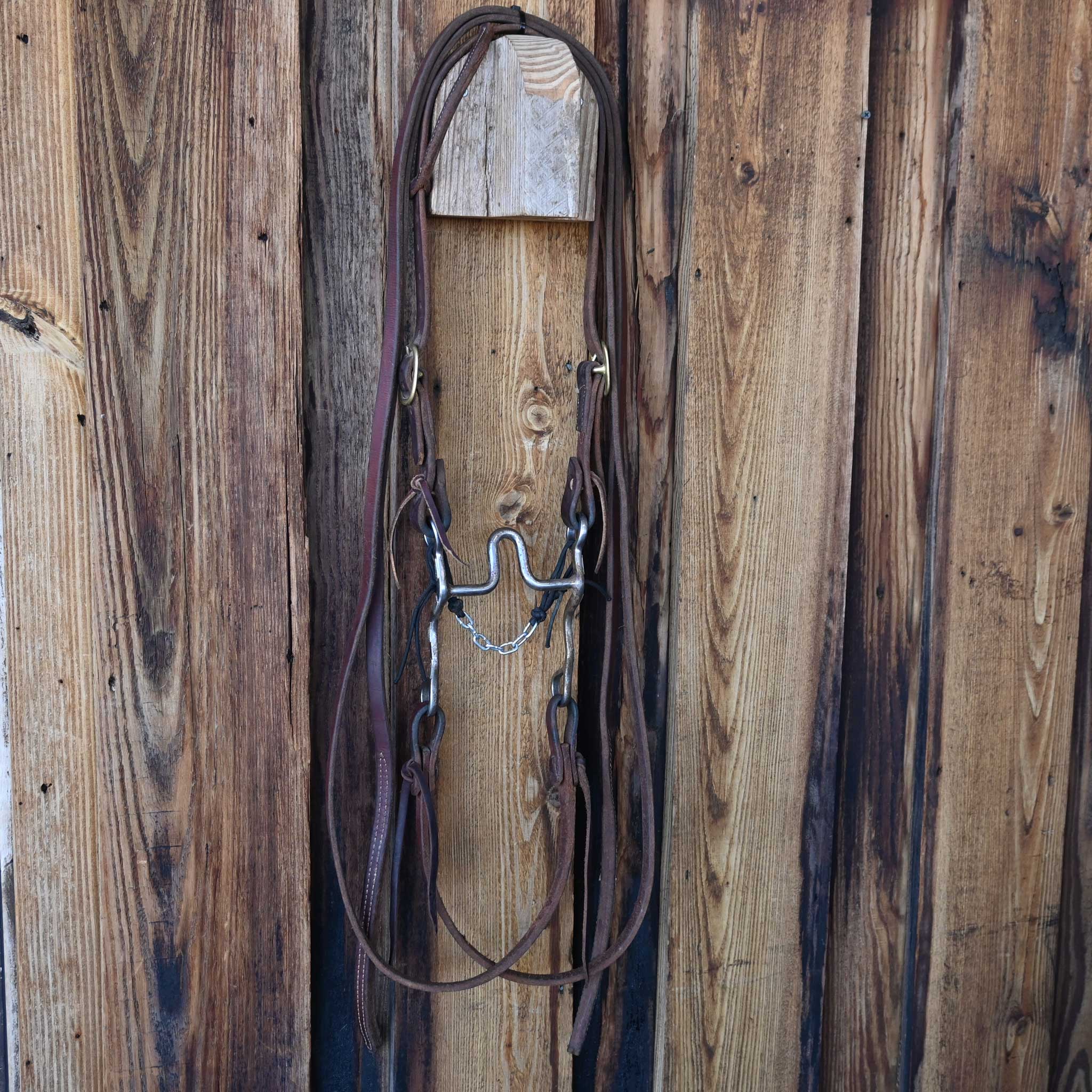 Collins Solid Port Bridle Rig w/Single Ear Headstall - Image 4