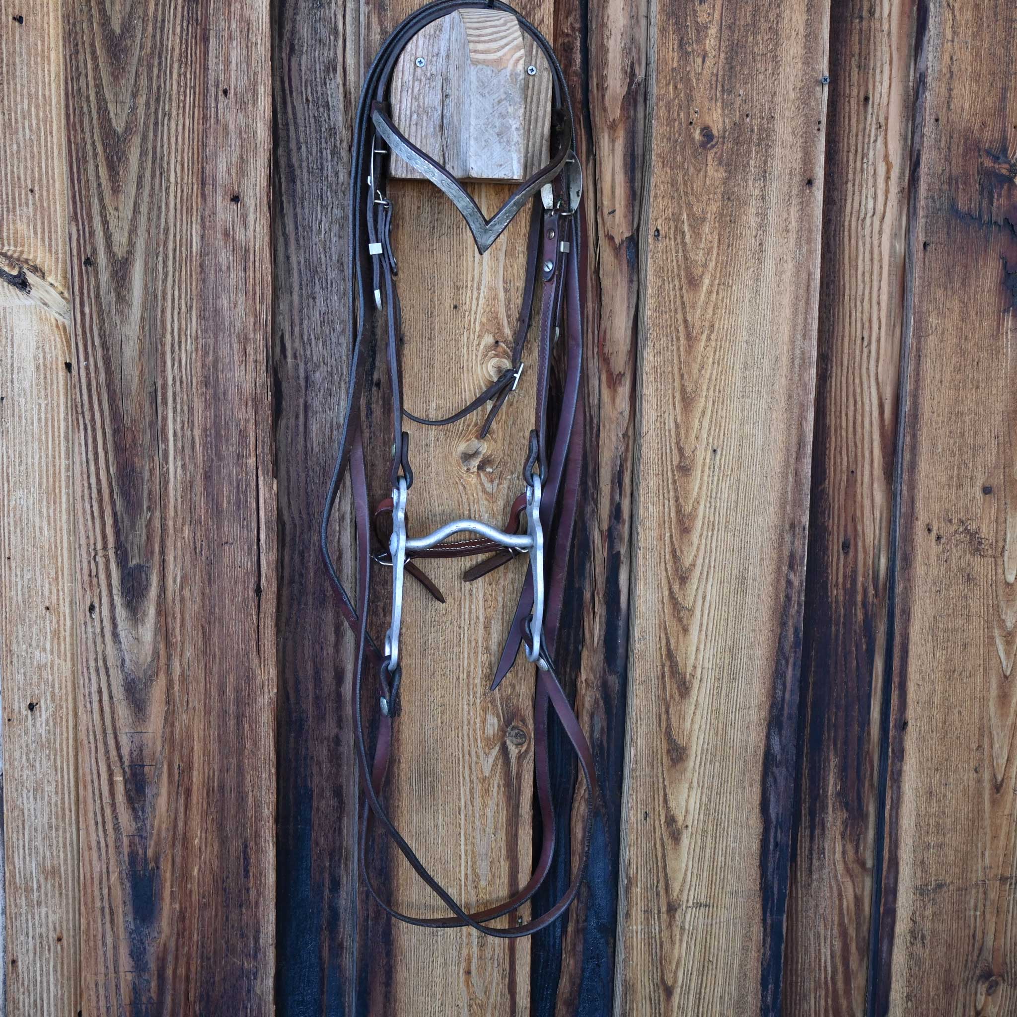 Colo. Bit & Spur Solid Port Bridle Rig - Image 5