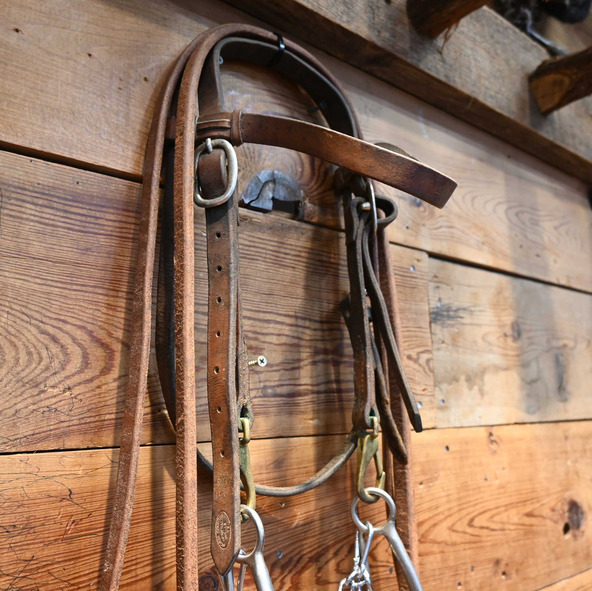 Copper Mullen Gag Bridle Rig w/ Browband Headstall - Image 3