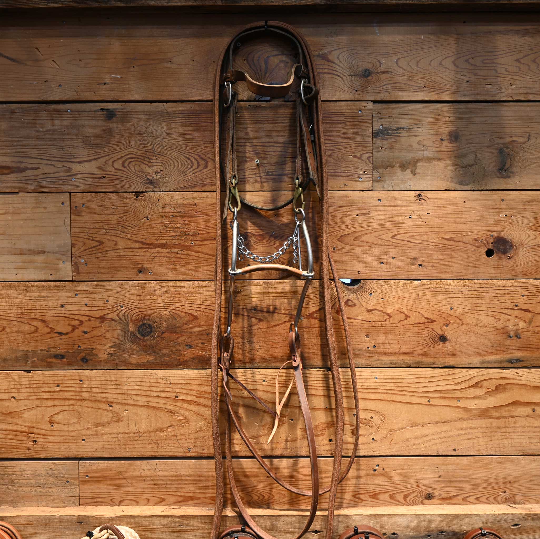 Copper Mullen Gag Bridle Rig w/ Browband Headstall - Image 4
