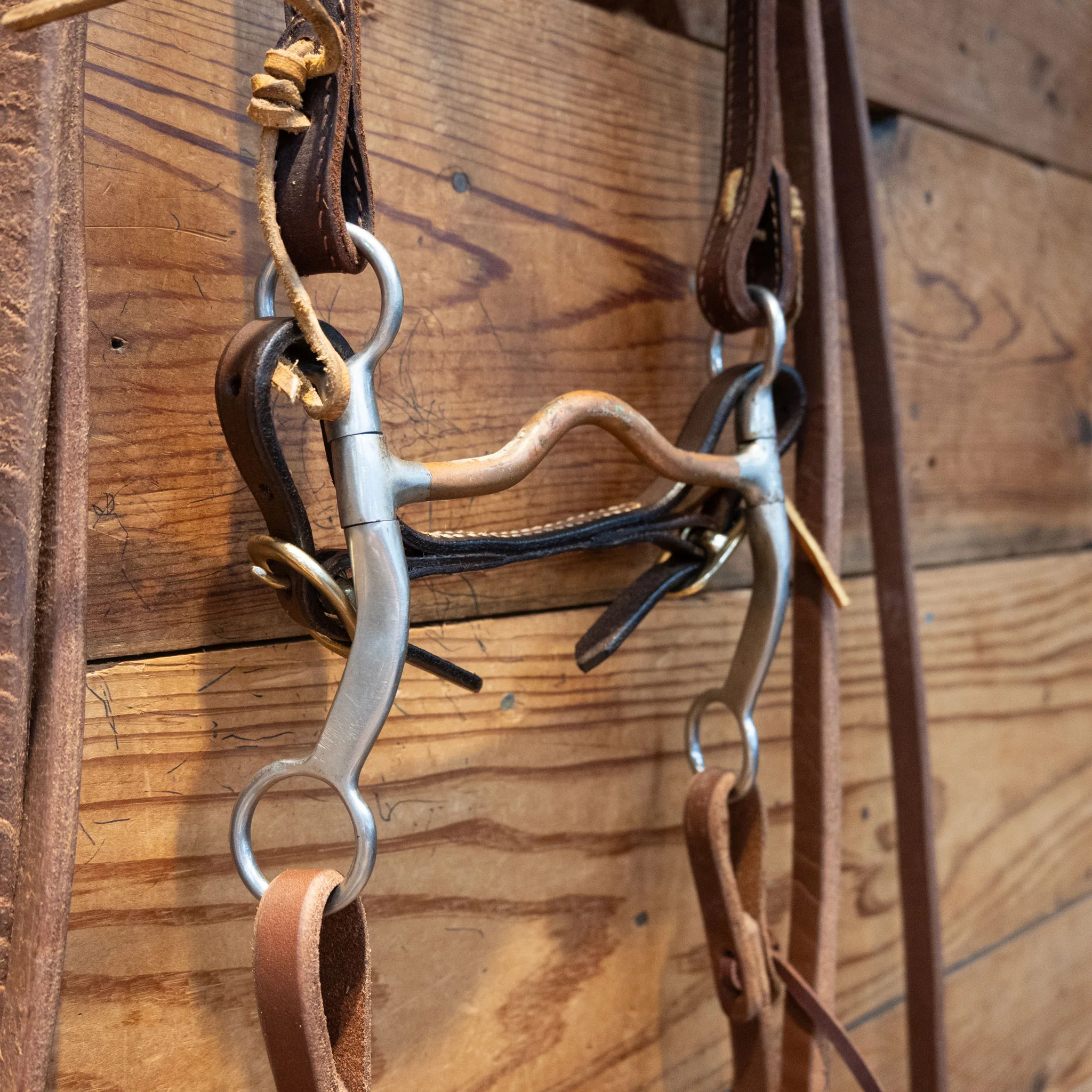 Copper Port Bit Bridle Rig