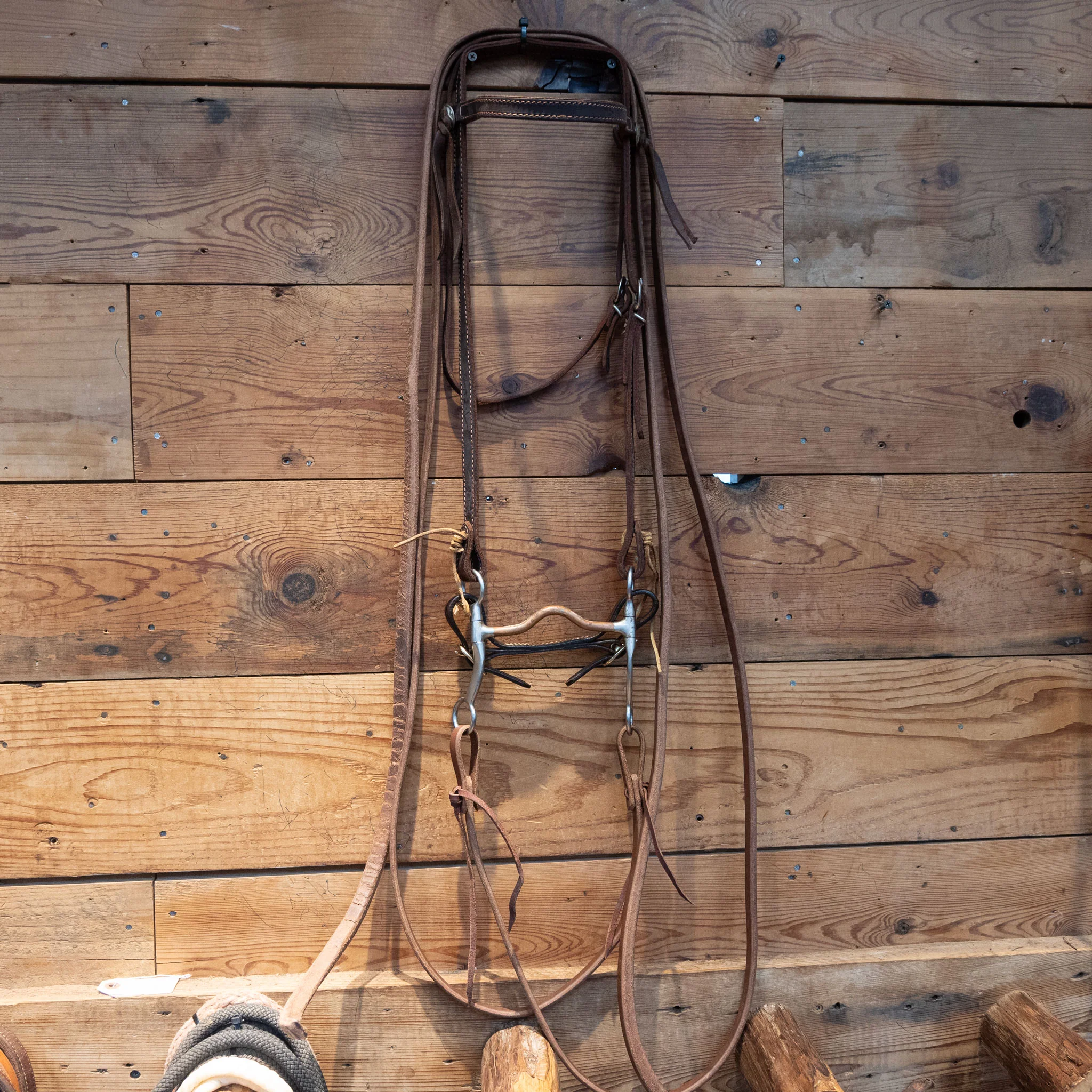 Copper Port Bit Bridle Rig - Image 2