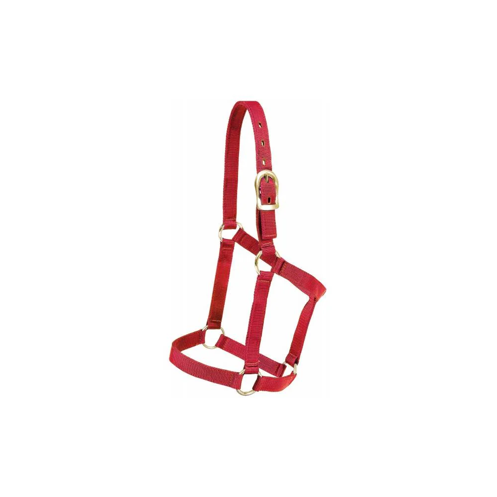 Mustang Economy Nylon Halter - Image 2