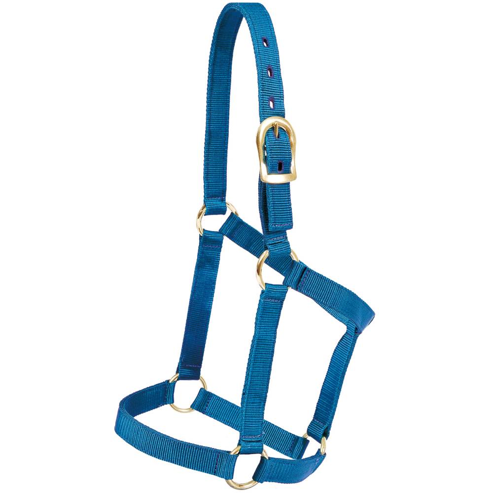 Mustang Economy Nylon Halter - Image 3