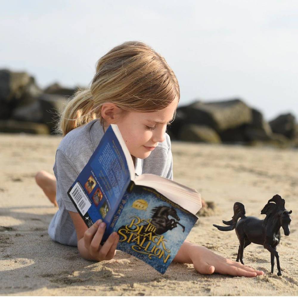 Black Stallion Horse & Book Set - Image 3
