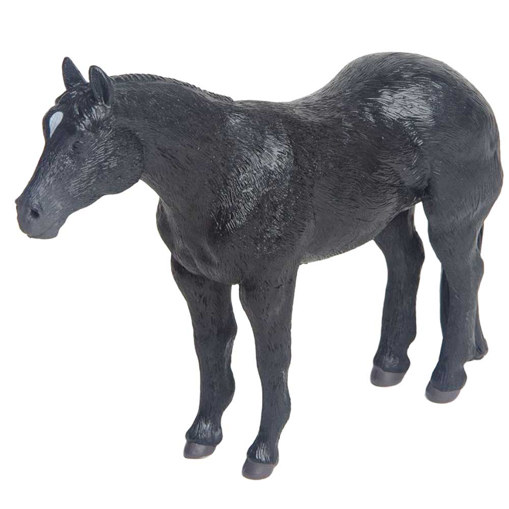 Little Buster Black Quarter Horse