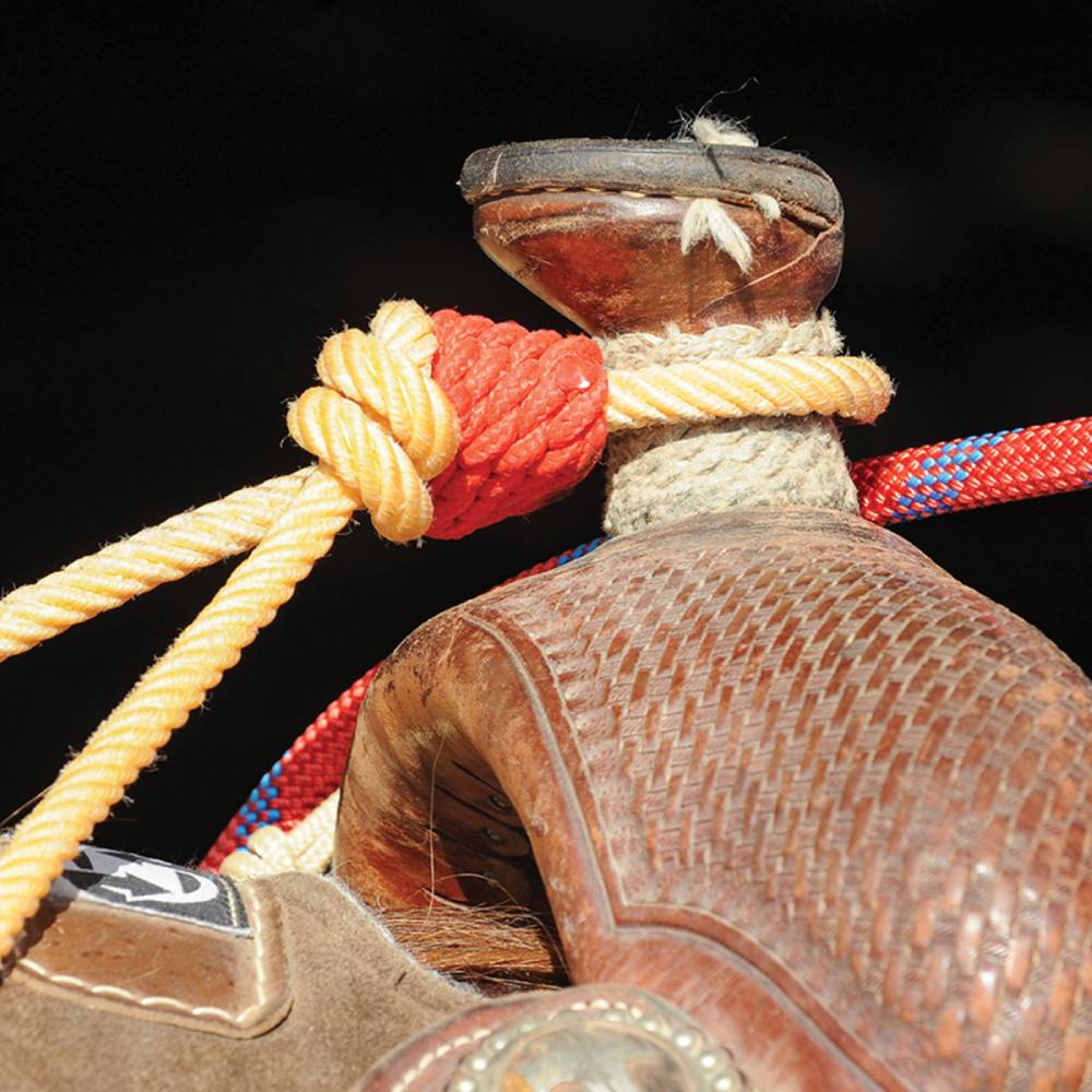 Rattler Horn Knot - Image 2