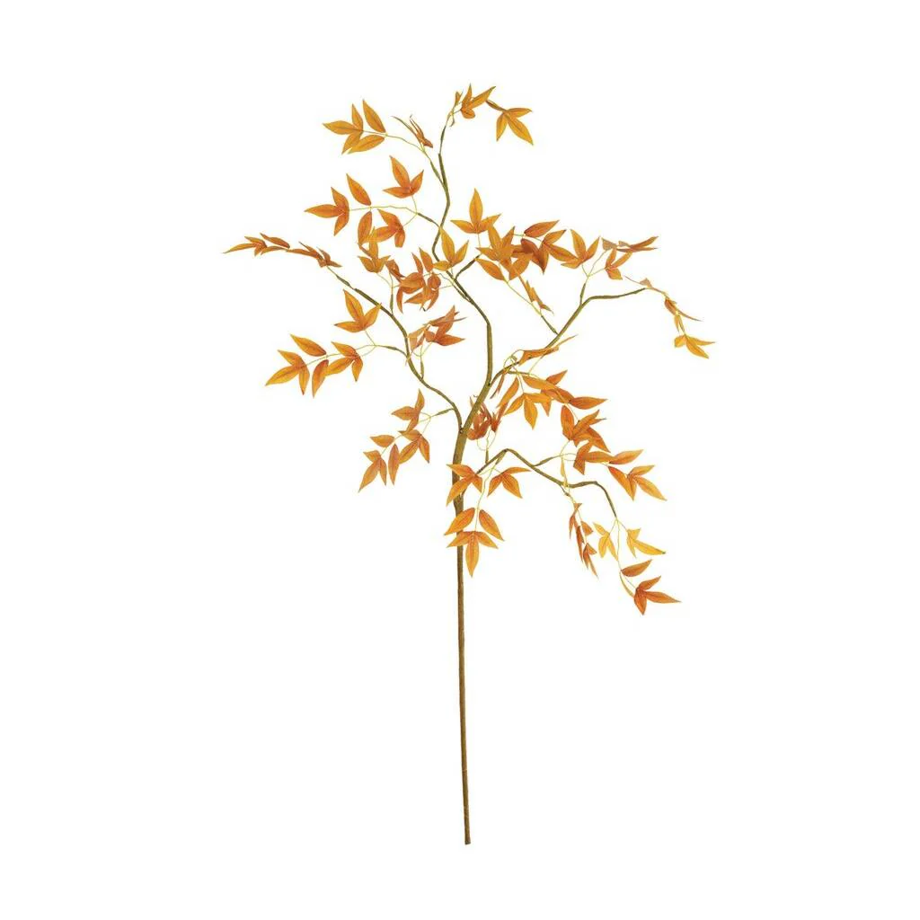 Botanica - Image 2