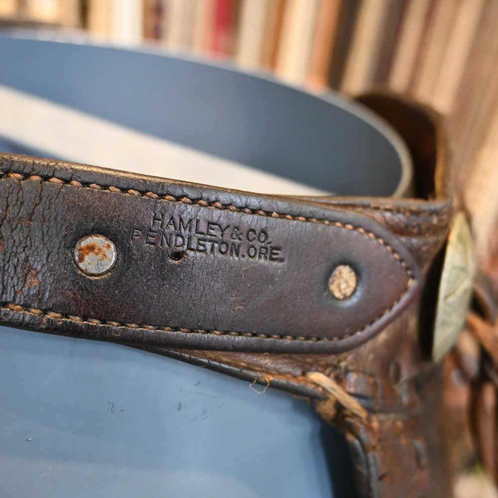 Hamley Vintage Celestial Western Chaps - Image 5
