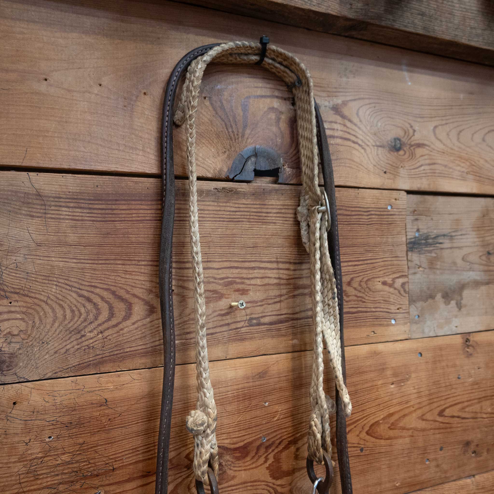 Correction w/ hinge Bridle Rig - Image 3