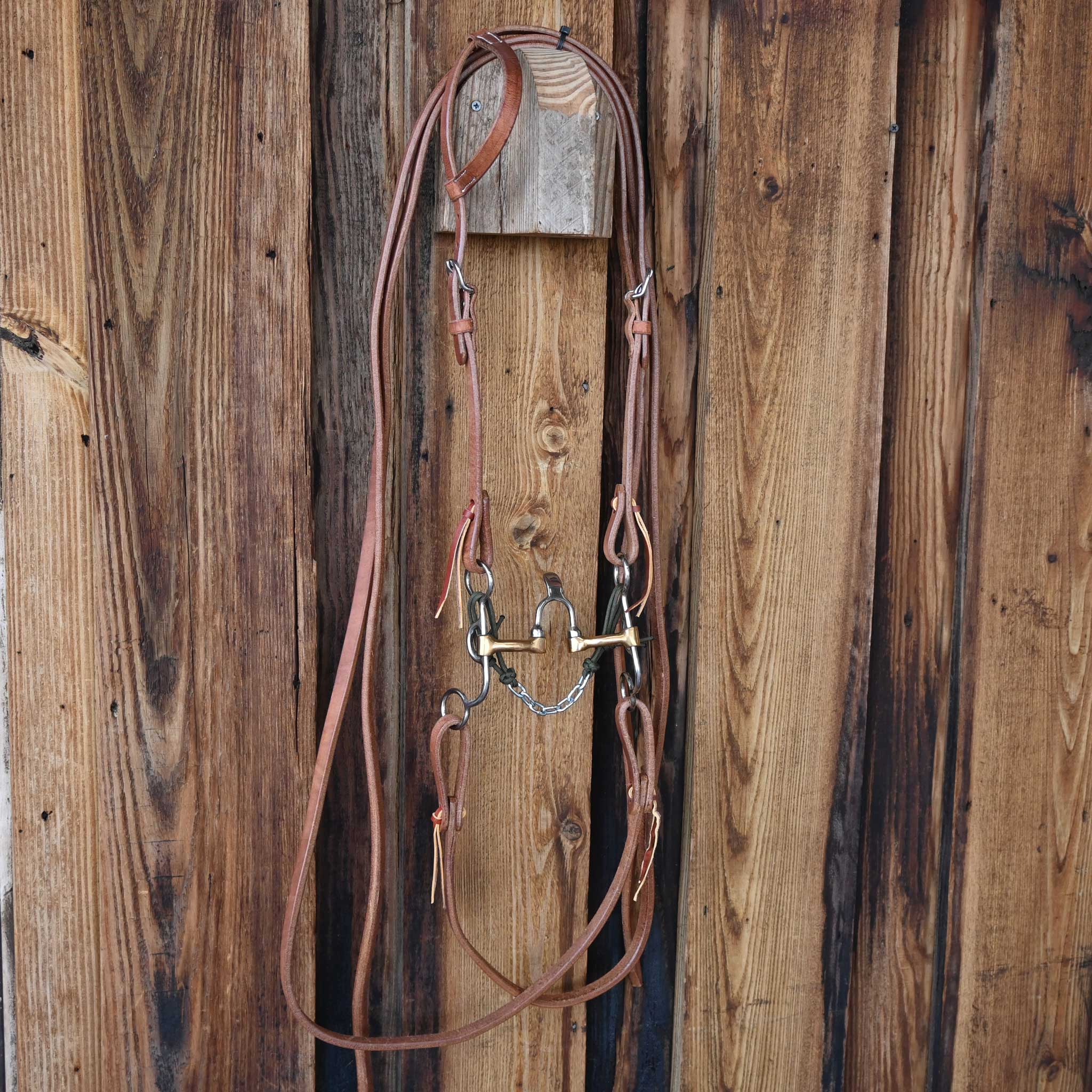 Correction Bridle Rig w/All New Leather - Image 4