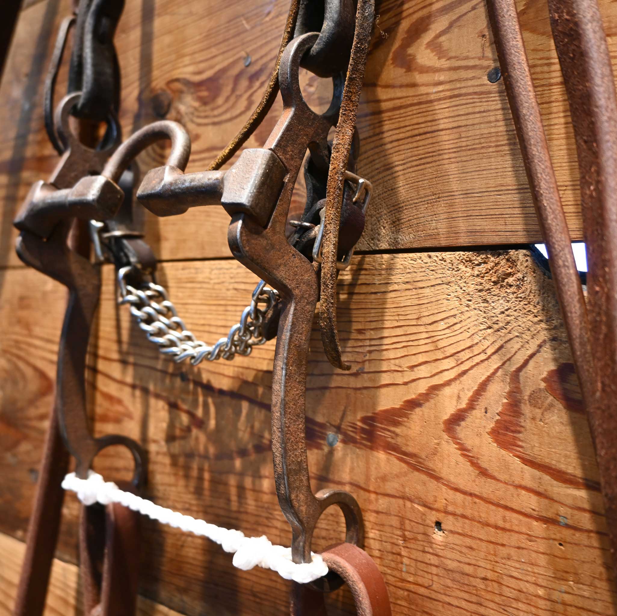 Correction Bridle Rig w/ Single Ear Headstall