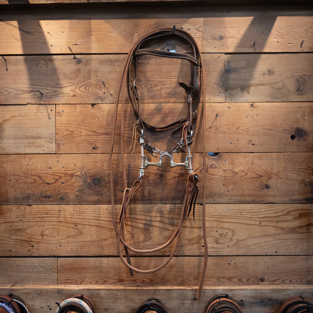 CHS Correction on a Sliding Lariat Gag Bridle Rig - Image 2