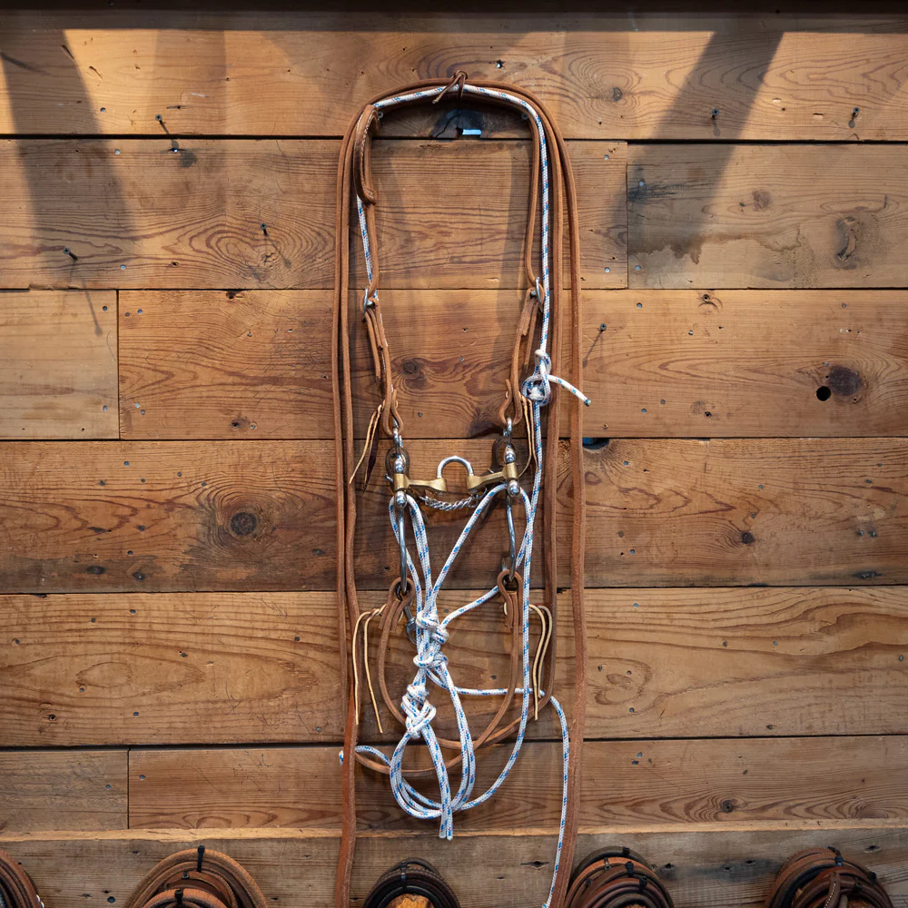 CHS Correction w/ "Tejas" Shanks Bridle Rig w/a String Martingale - Image 2