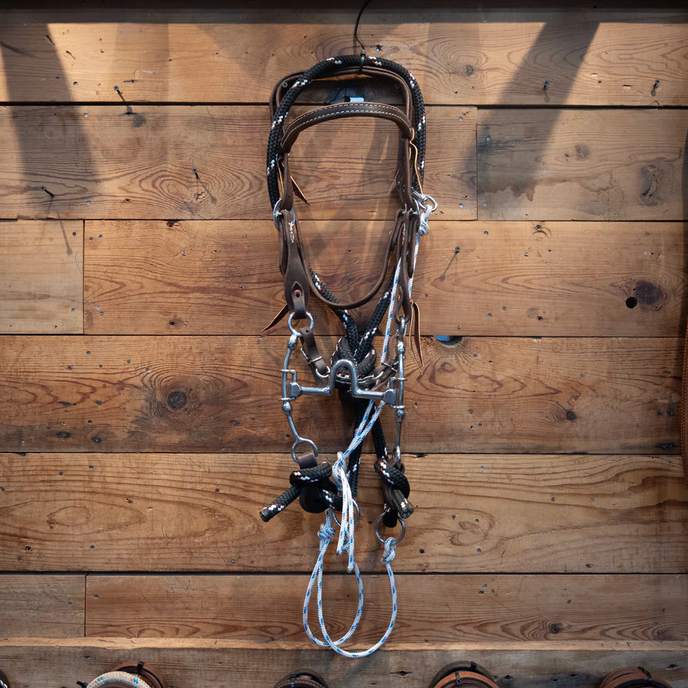 CHS High Port Sliding Gag Rig w/Martingale - Image 2