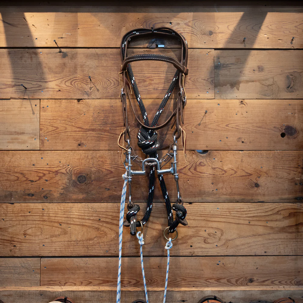 CHS "LB" Correction Bridle Rig w/ String Martingale - Image 2