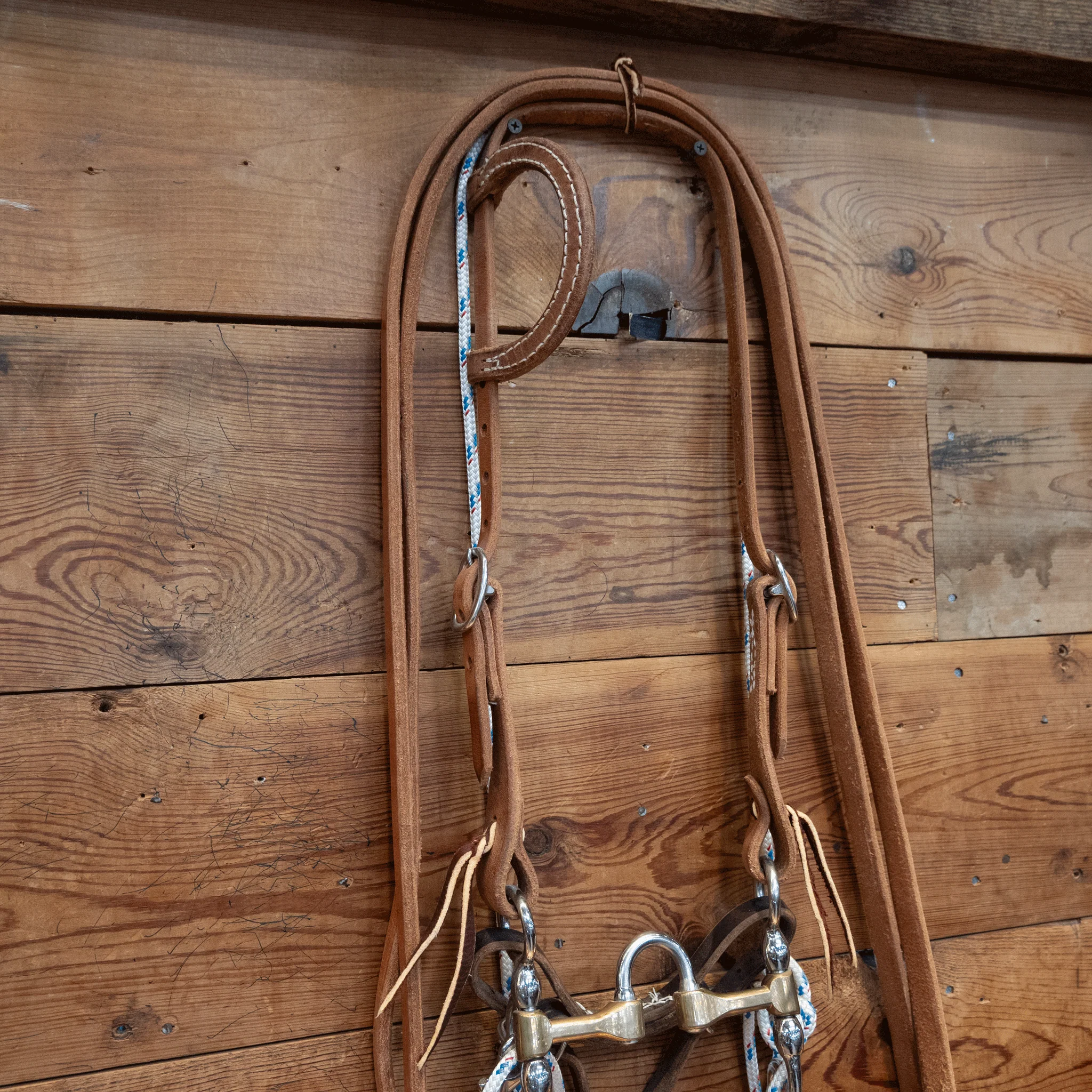 Cow Horse Supply Correction Bridle Rig w/ String Martingale - Image 2