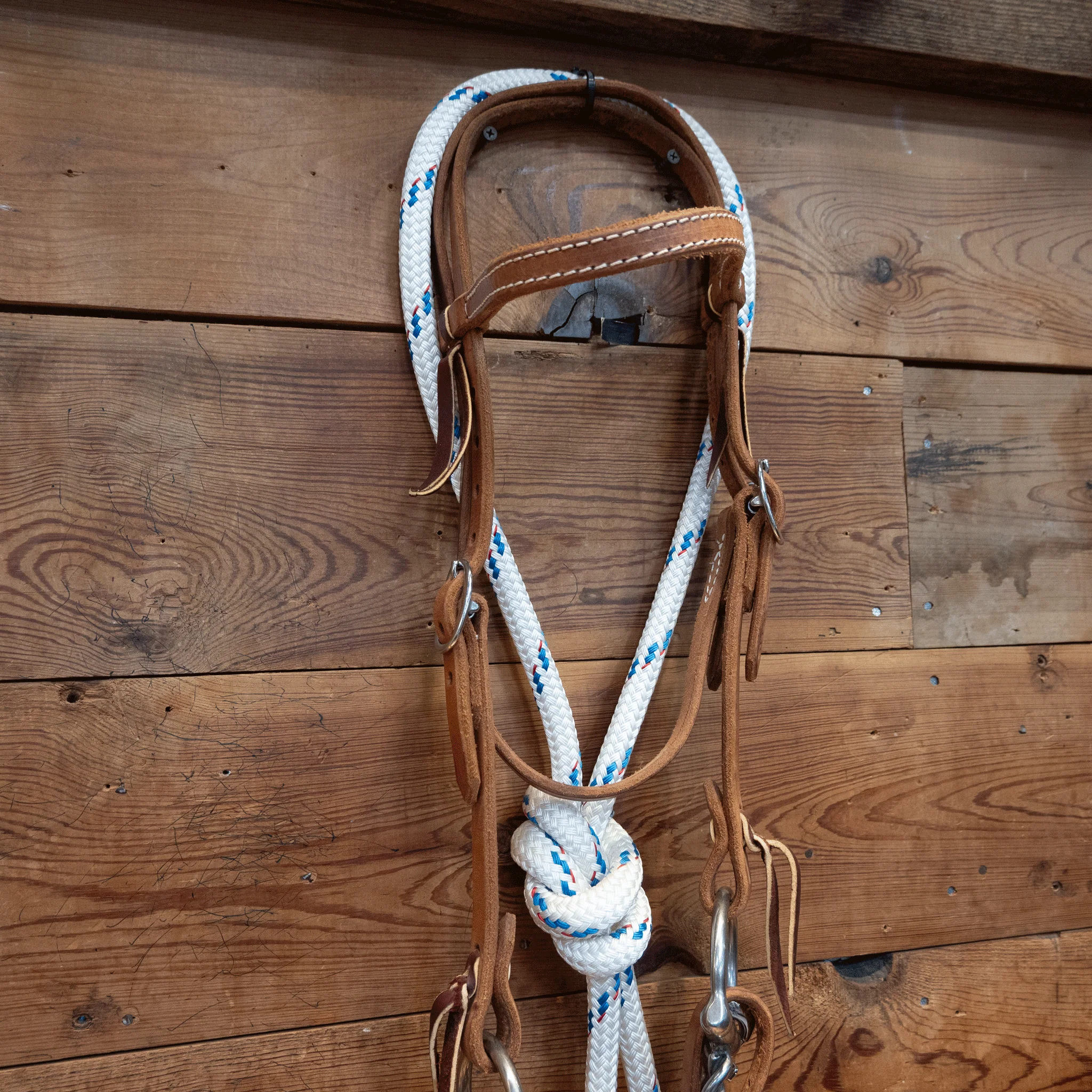 CHS Mitch Draw Dog D-Ring Twisted Snaffle Bridle Rig - Image 2