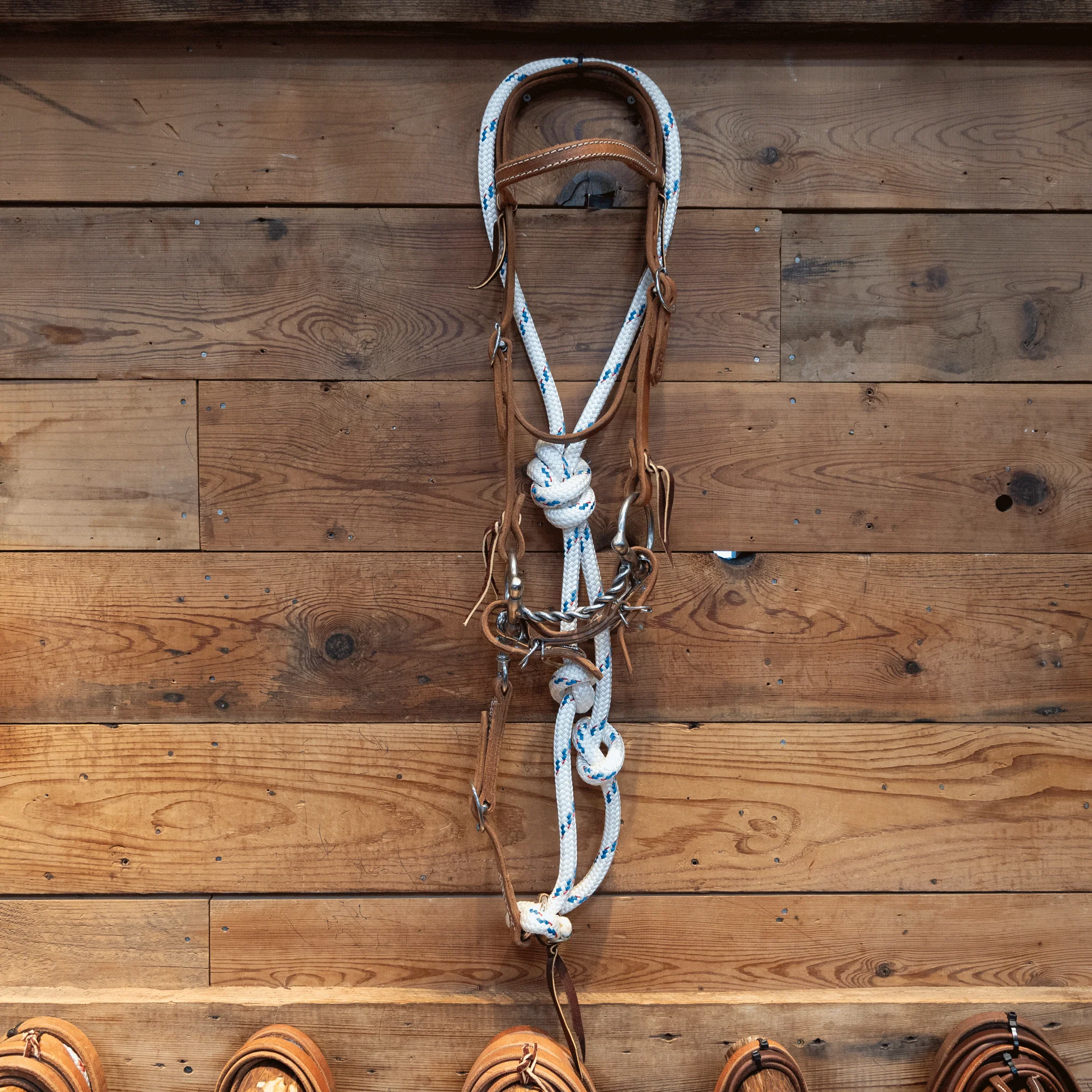 CHS Mitch Draw Dog D-Ring Twisted Snaffle Bridle Rig - Image 3