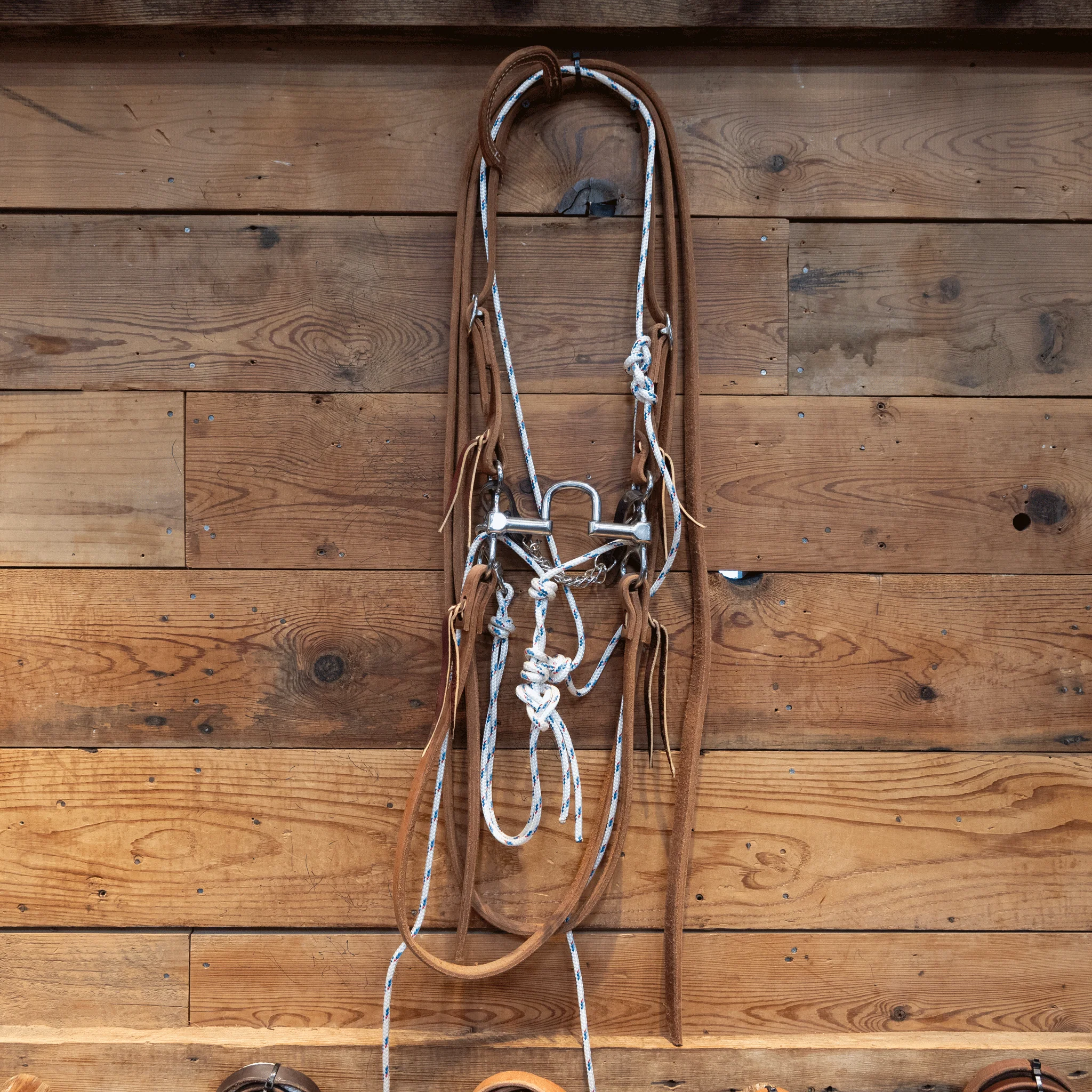 Cow Horse Supply LB Correction Bridle Rig w/ String Martingale - Image 3