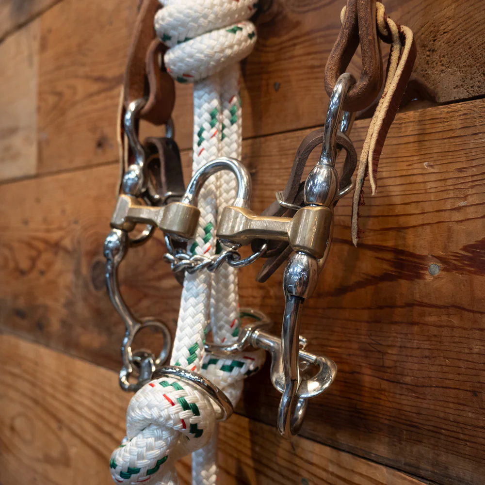 CHS Mitch Argentine Correction w/ Draw Reins Rig
