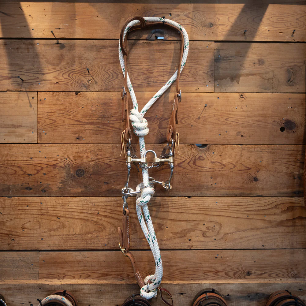 CHS Mitch Argentine Correction w/ Draw Reins Rig - Image 2