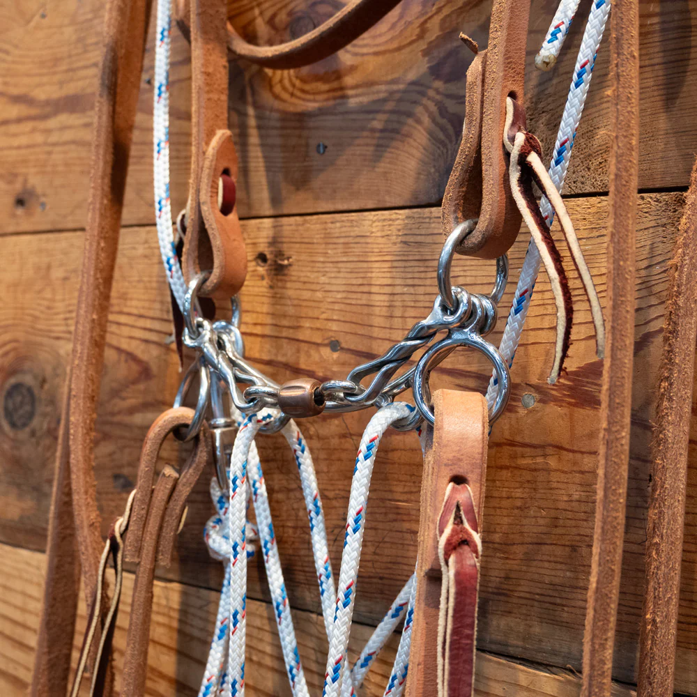 CHS Mormon 3 piece Snaffle Rig w/Split Reins and a Martingale