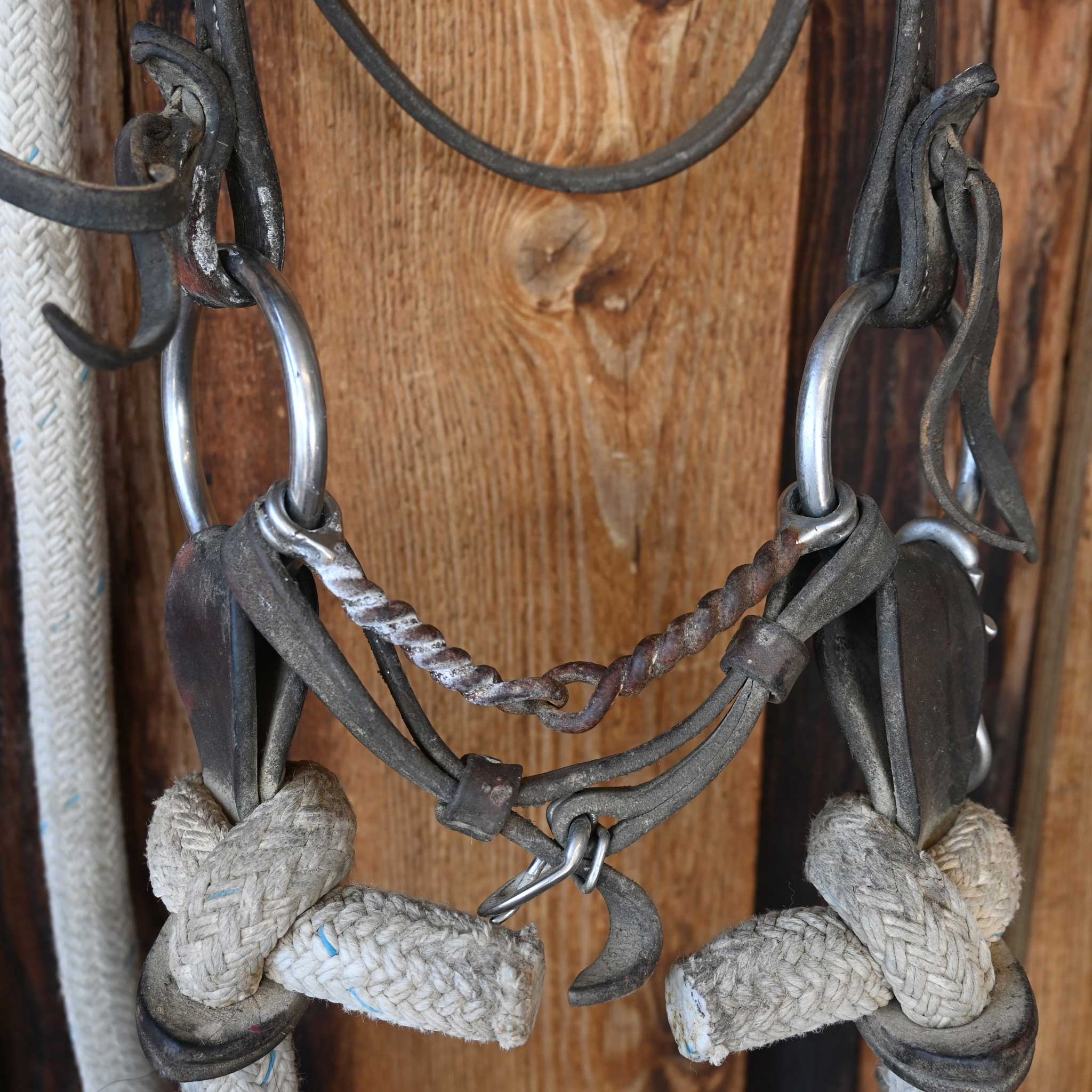 Cow Horse Supply O-Ring Twisted Wire Snaffle Bridle Rig w/String Martingale - Image 2