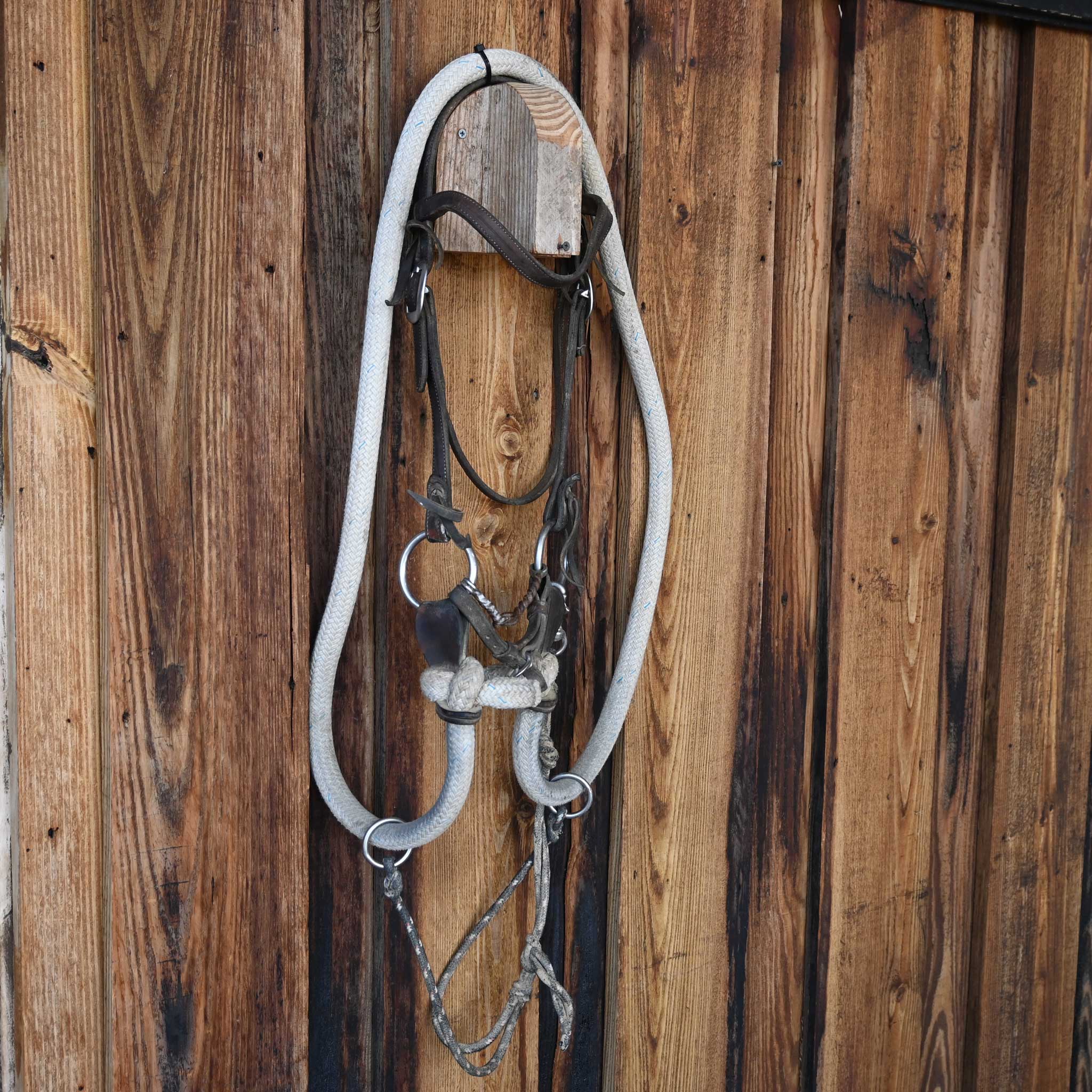 Cow Horse Supply O-Ring Twisted Wire Snaffle Bridle Rig w/String Martingale - Image 4